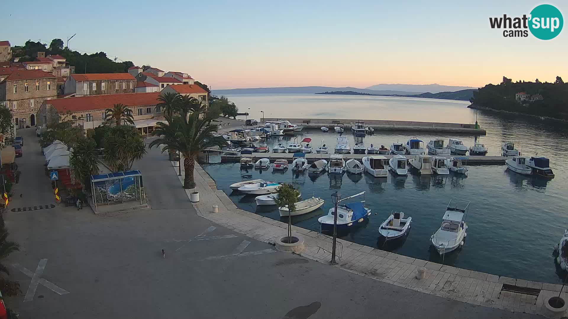 Račišće – isola di Curzola