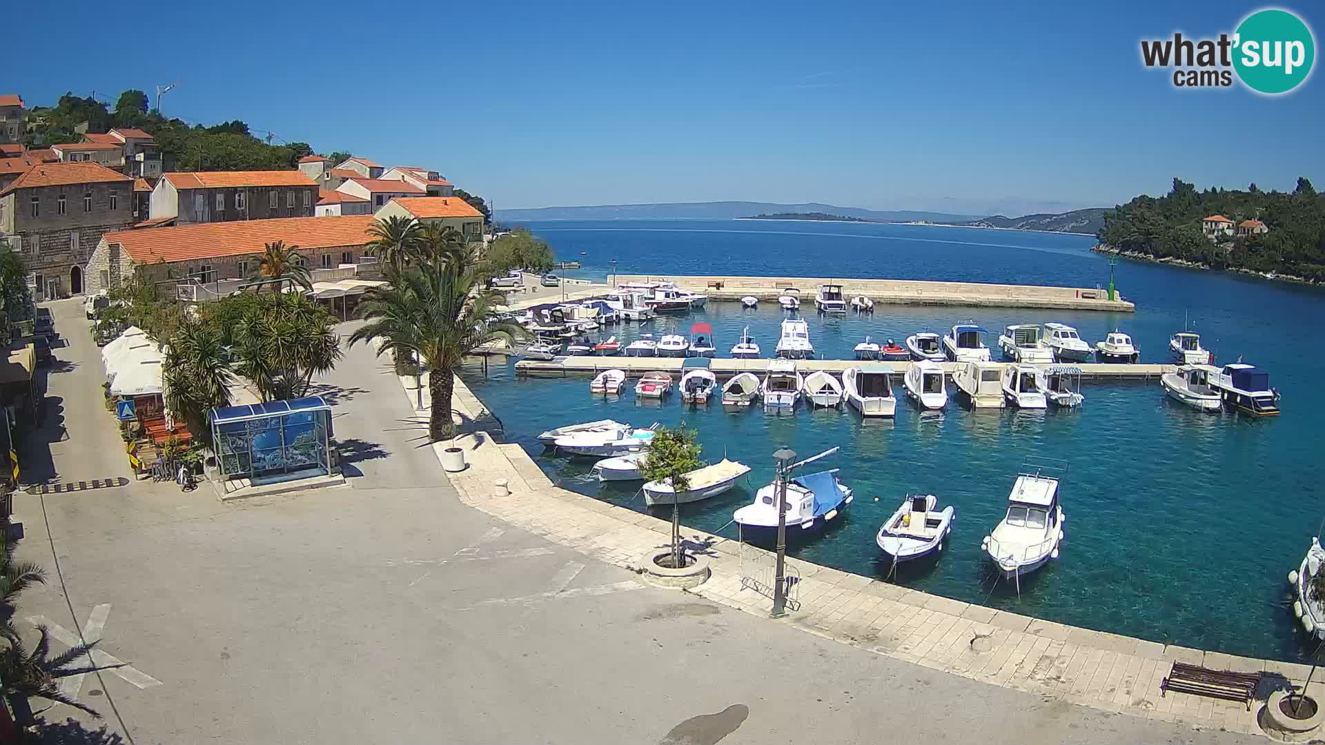 Račišće – otok Korčula
