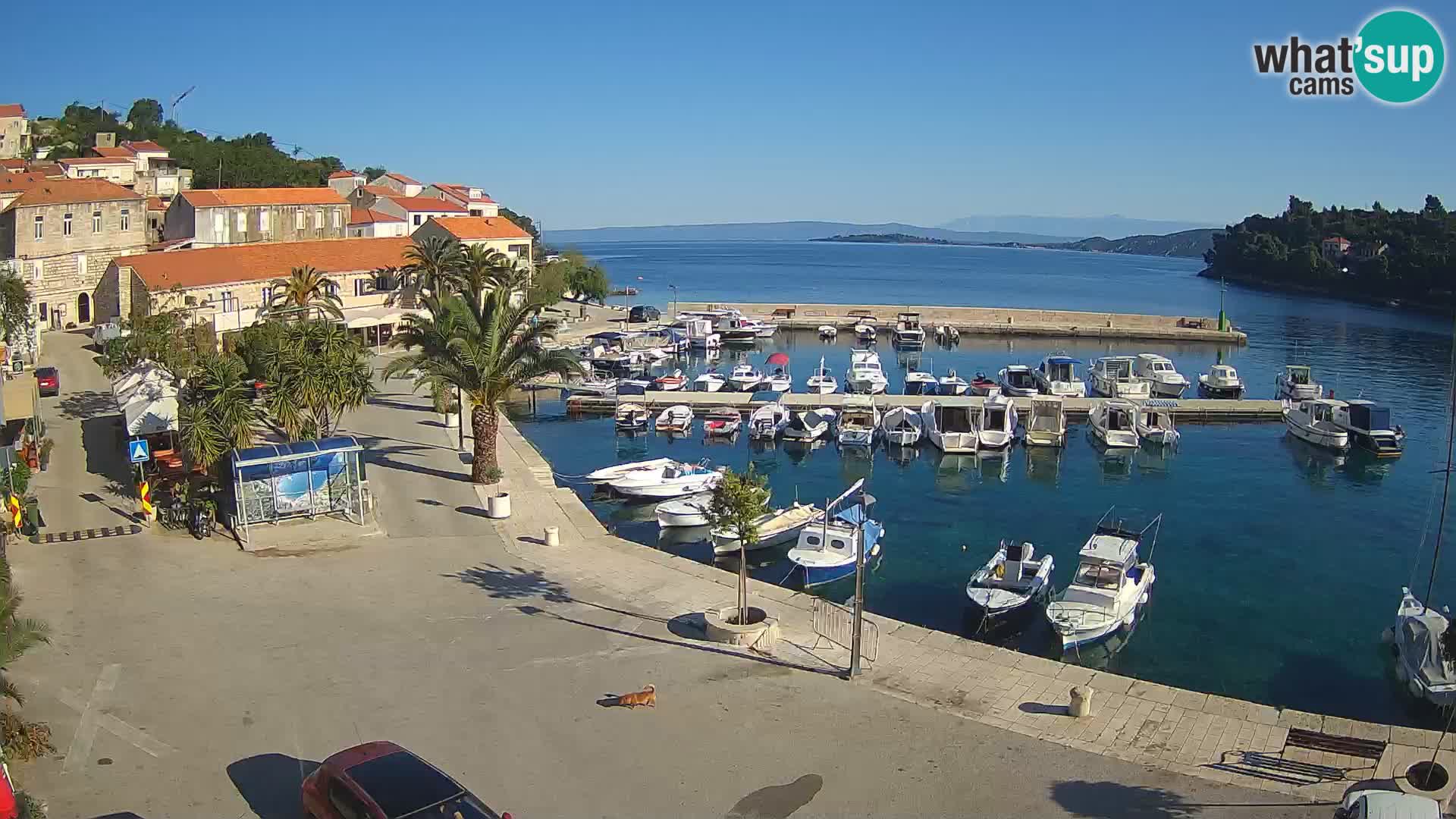 Račišće – Korčula île