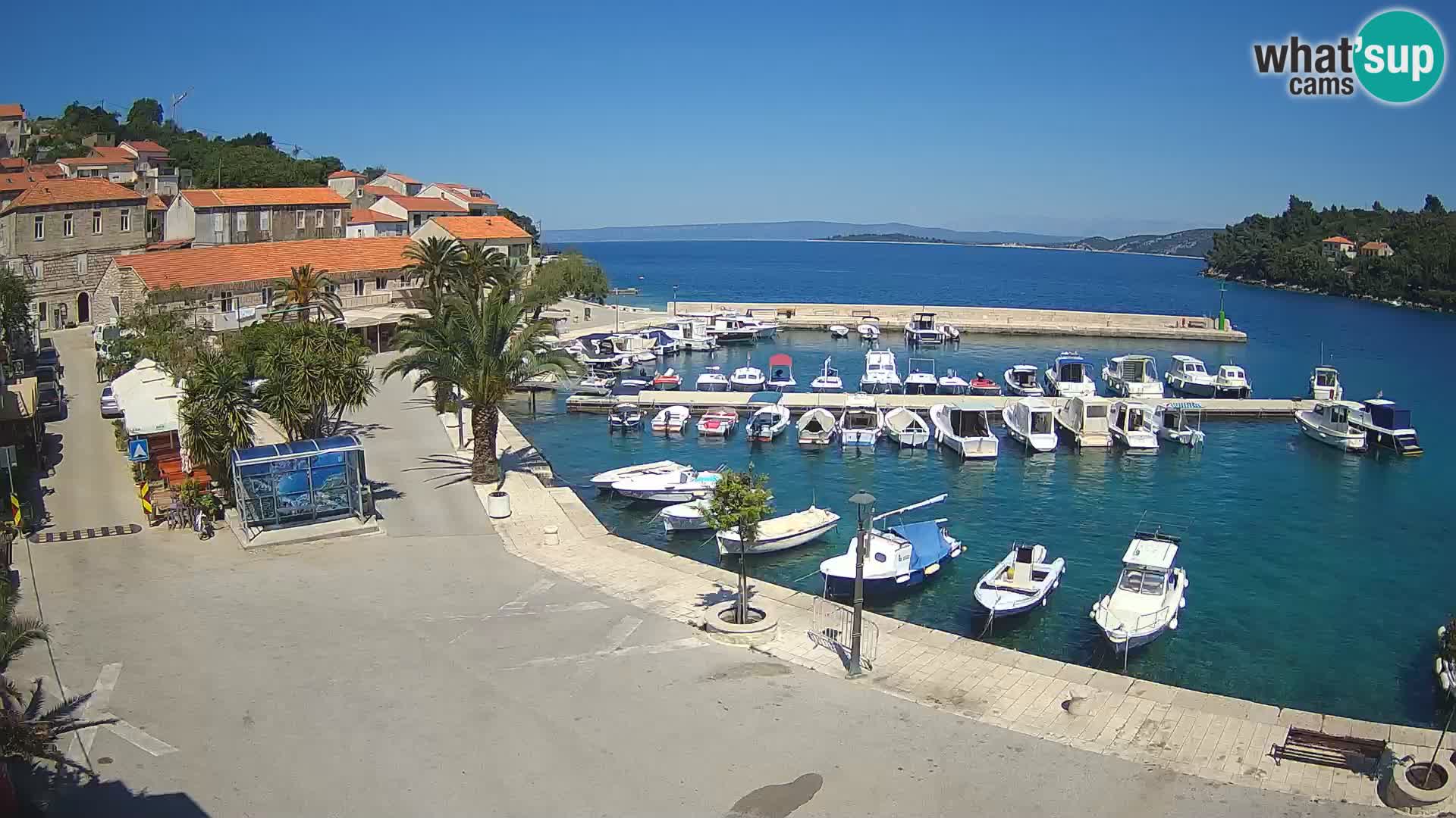 Račišće – isola di Curzola