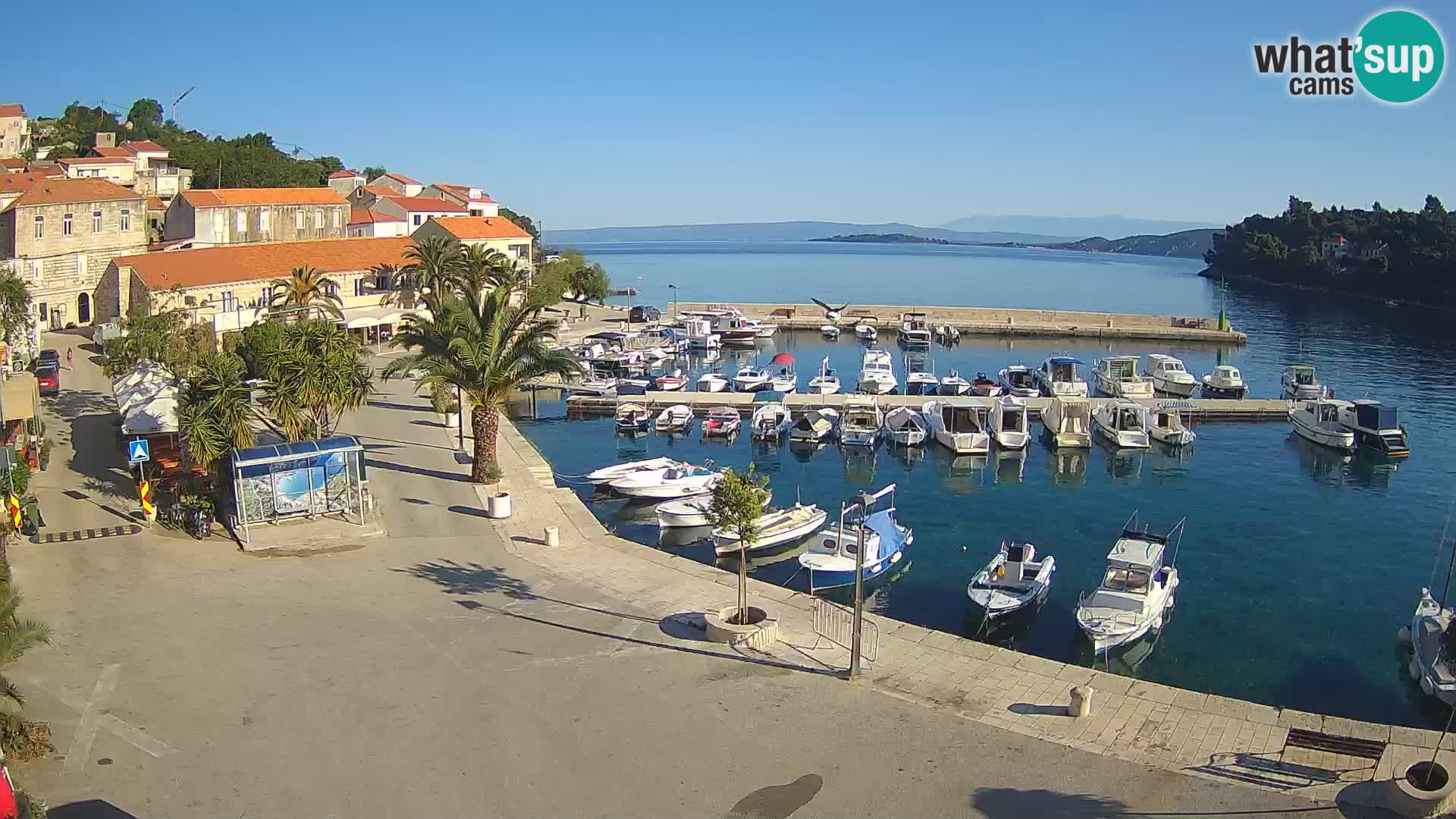 Račišće – otok Korčula