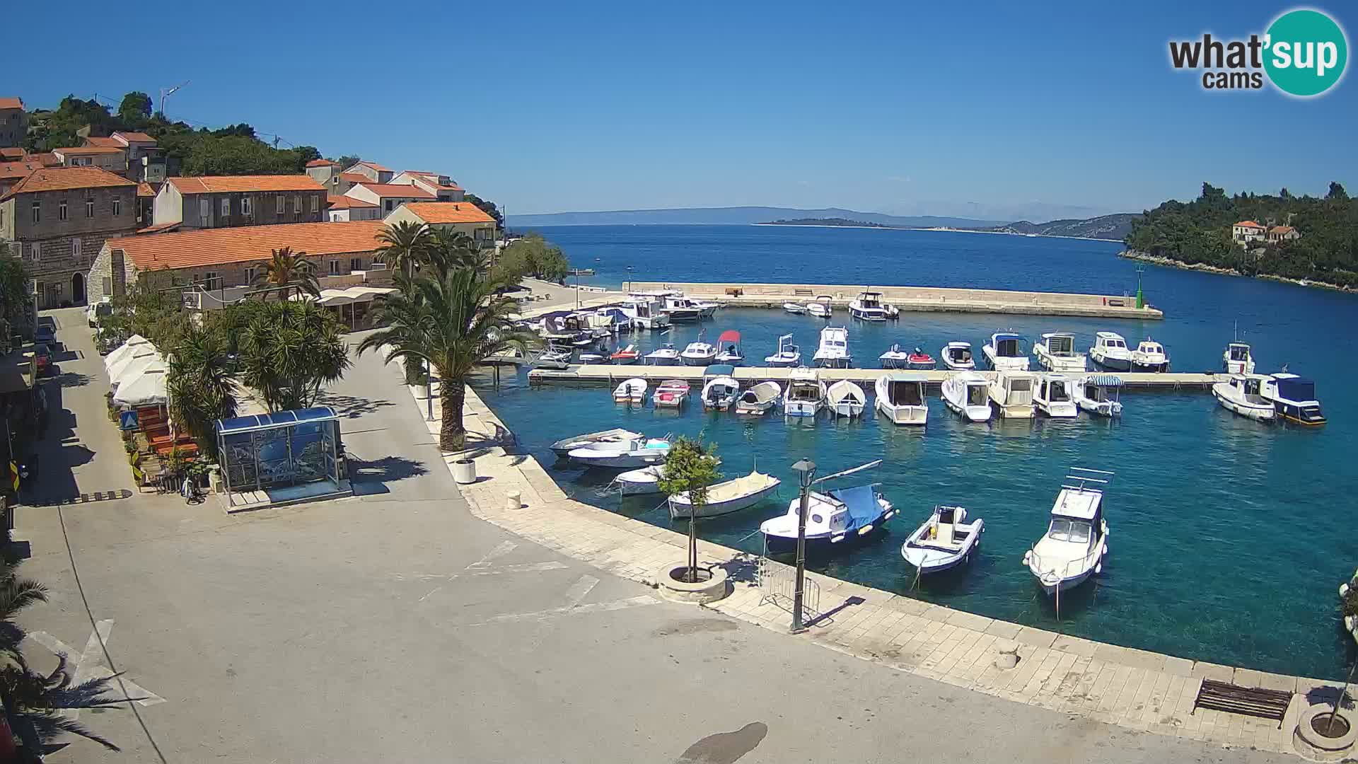 Račišće – otok Korčula