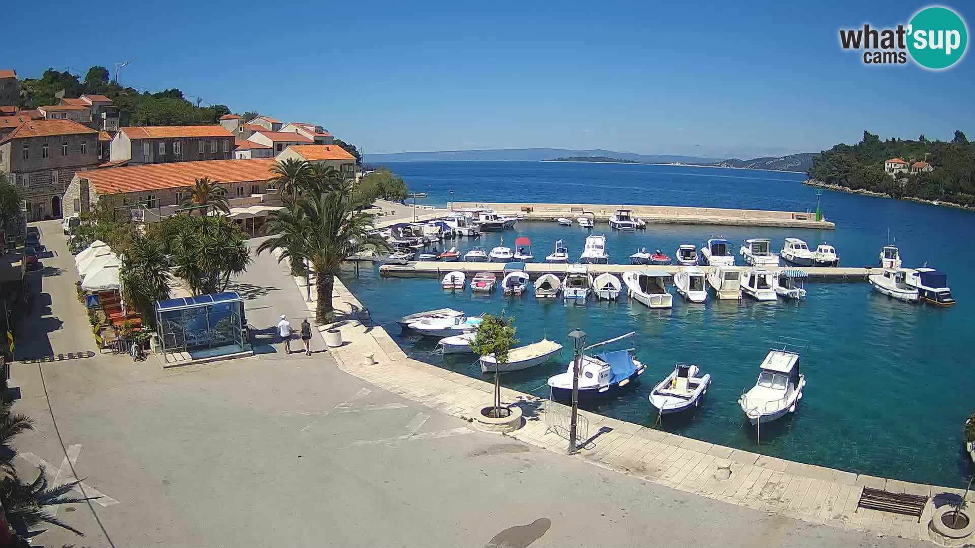 Račišće – otok Korčula
