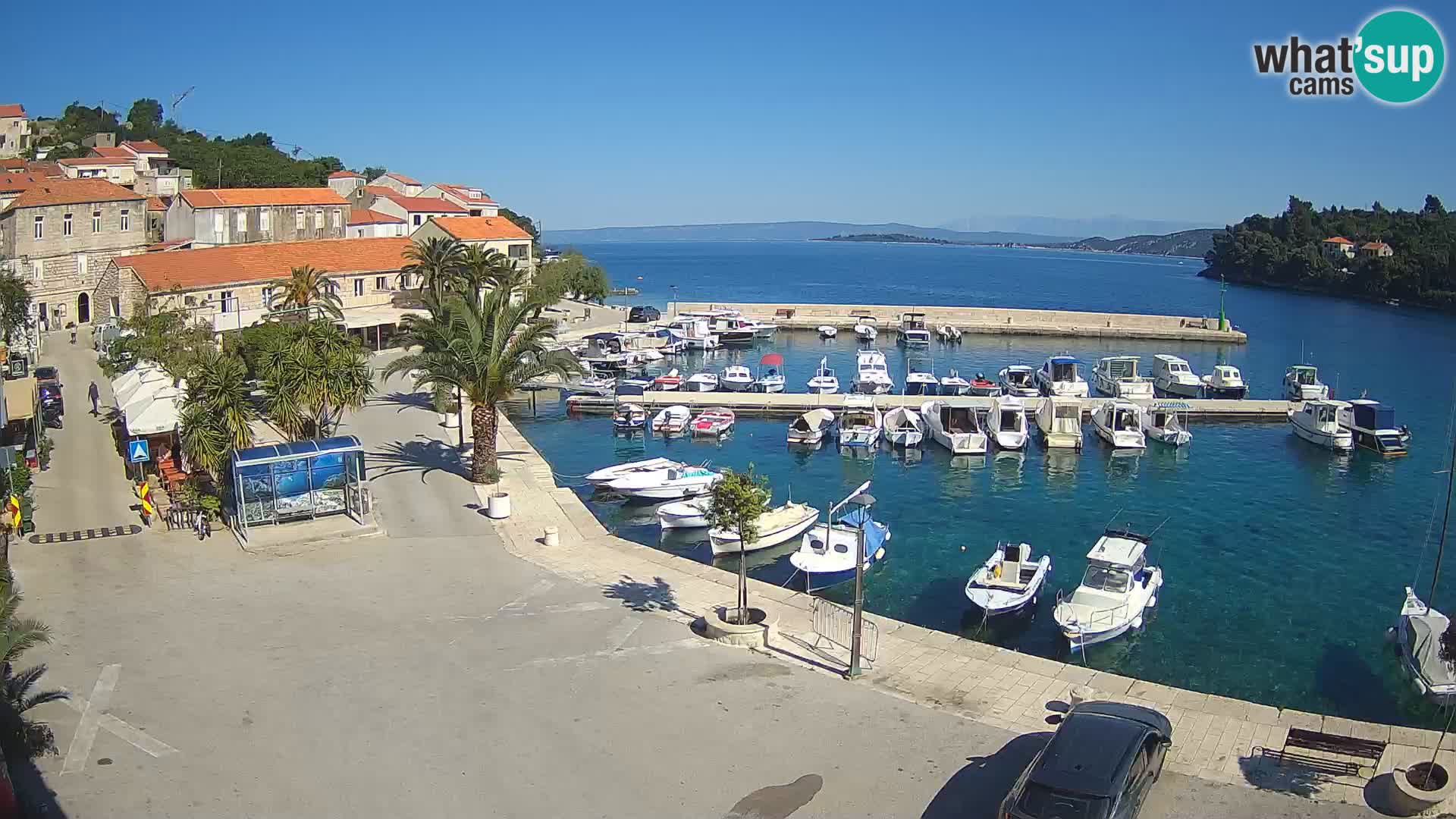 Račišće – isola di Curzola