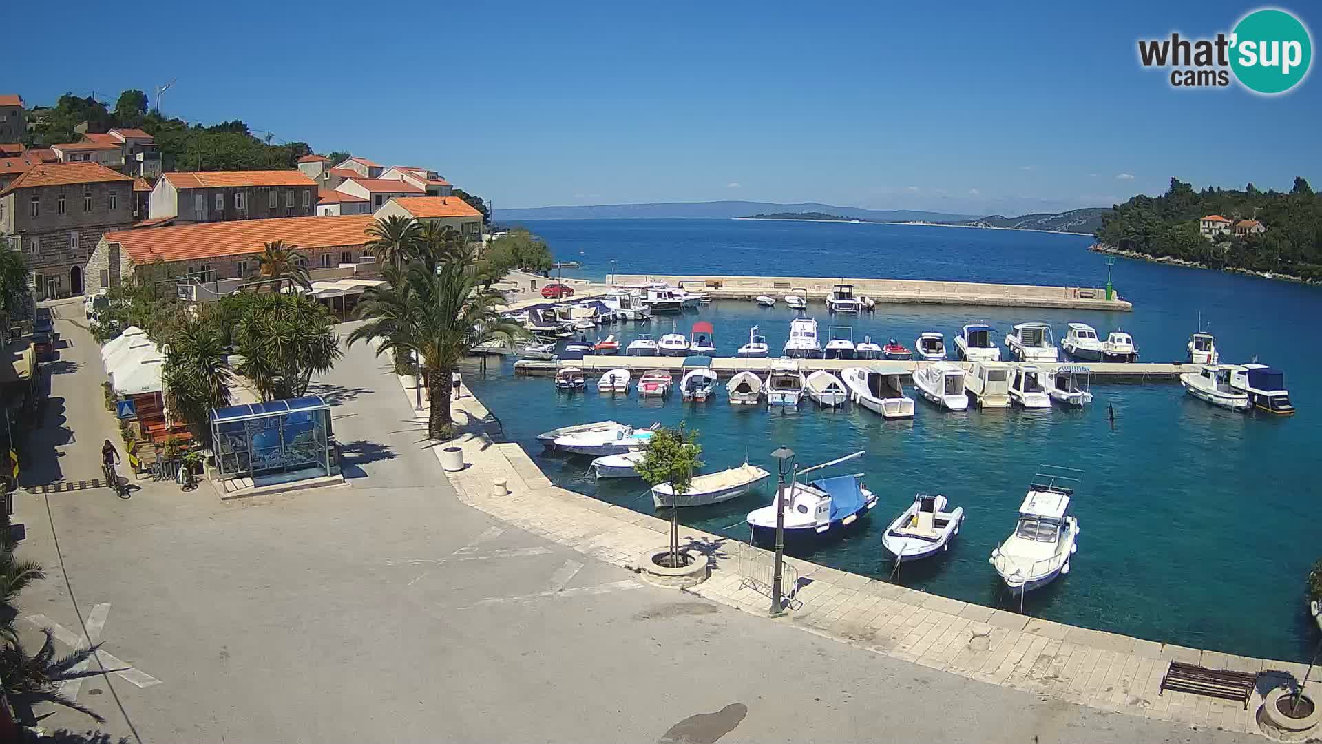 Račišće – otok Korčula