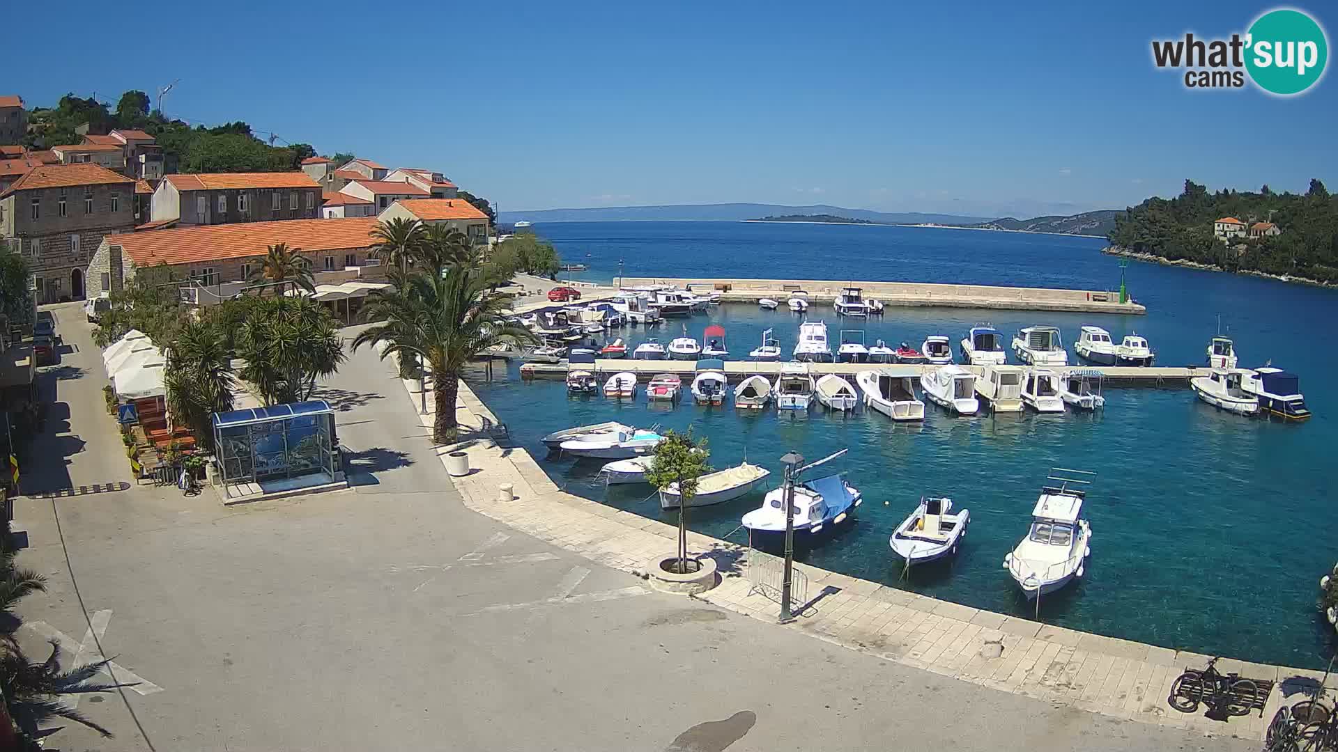 Račišće – otok Korčula