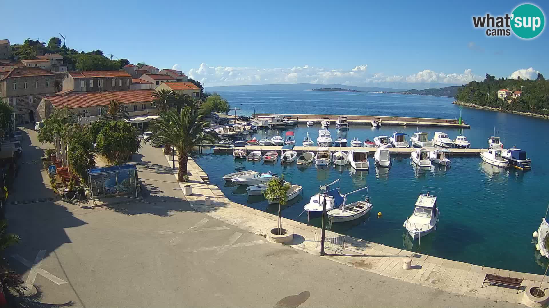 Račišće – isola di Curzola