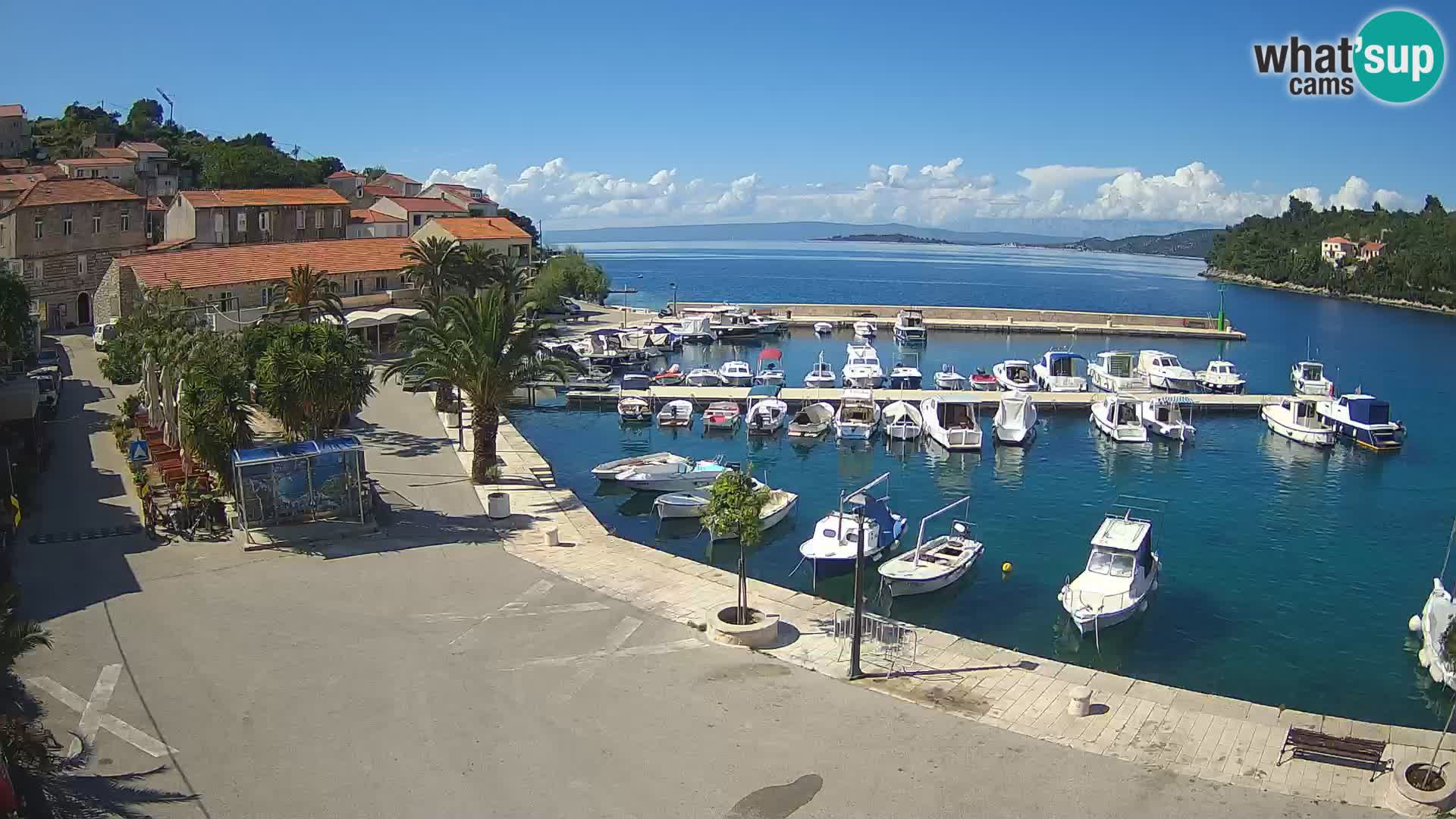 Račišće – isola di Curzola