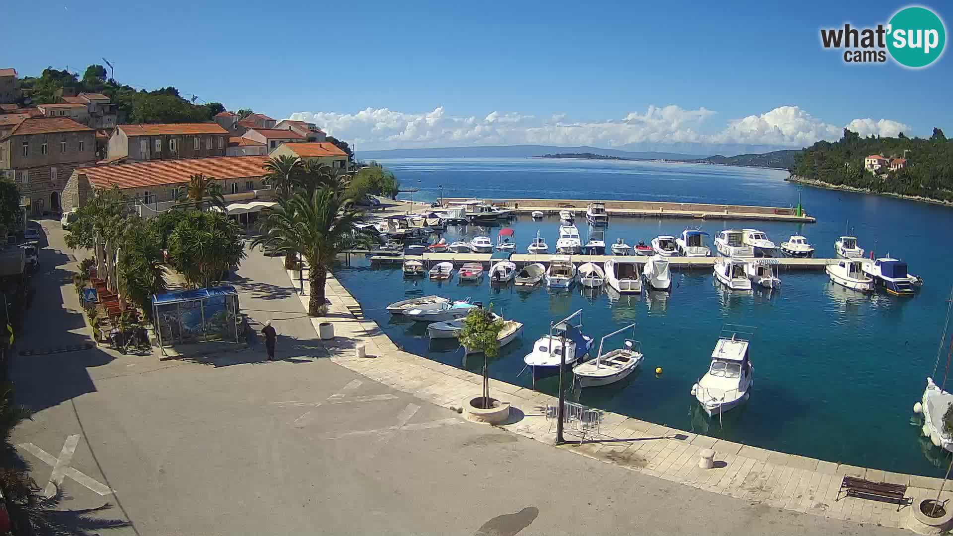 Račišće – otok Korčula