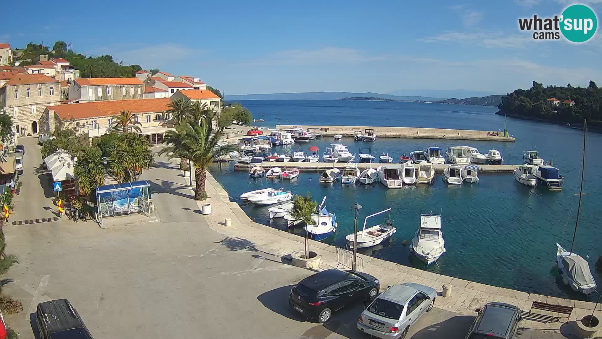 Račišće – isola di Curzola