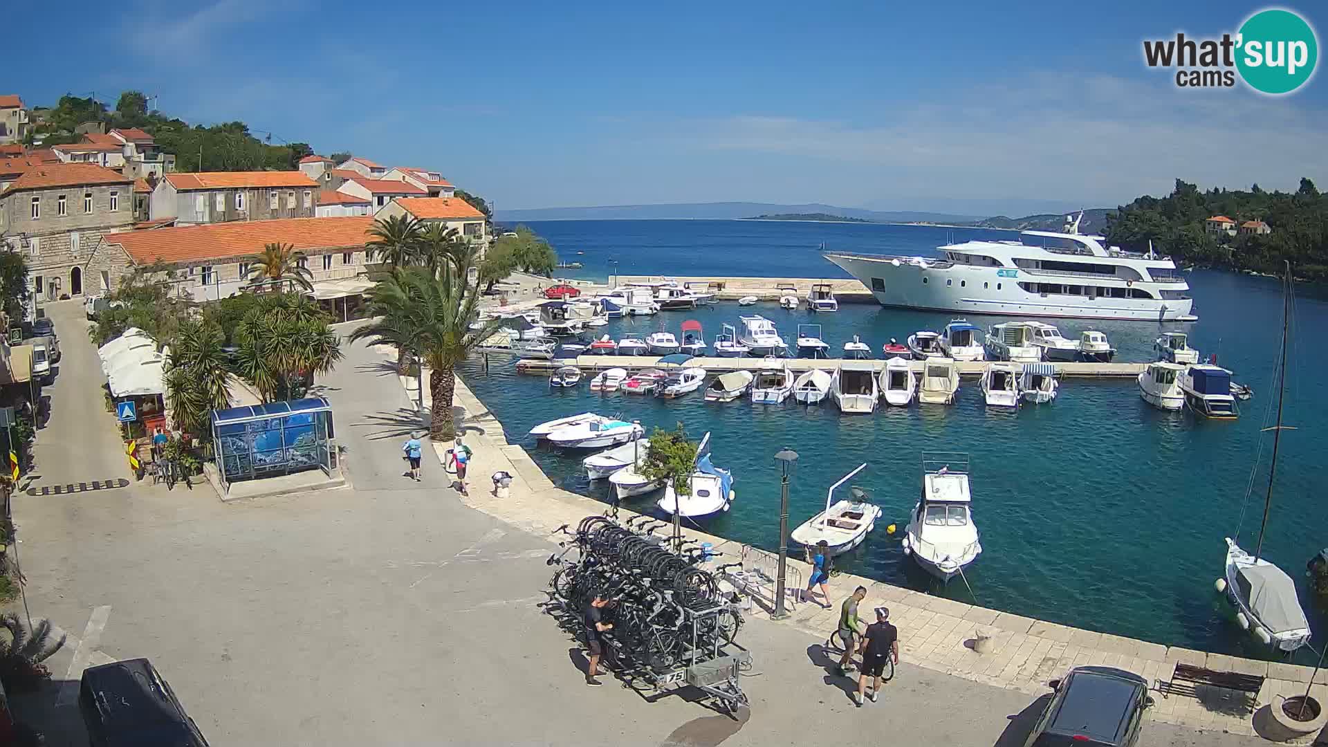 Račišće – isola di Curzola