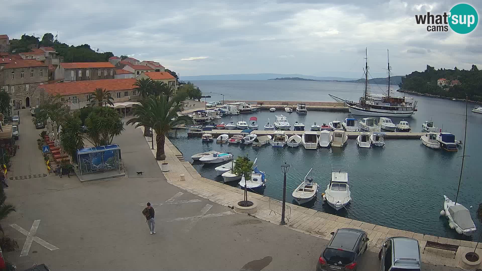 Račišće – Korčula isla