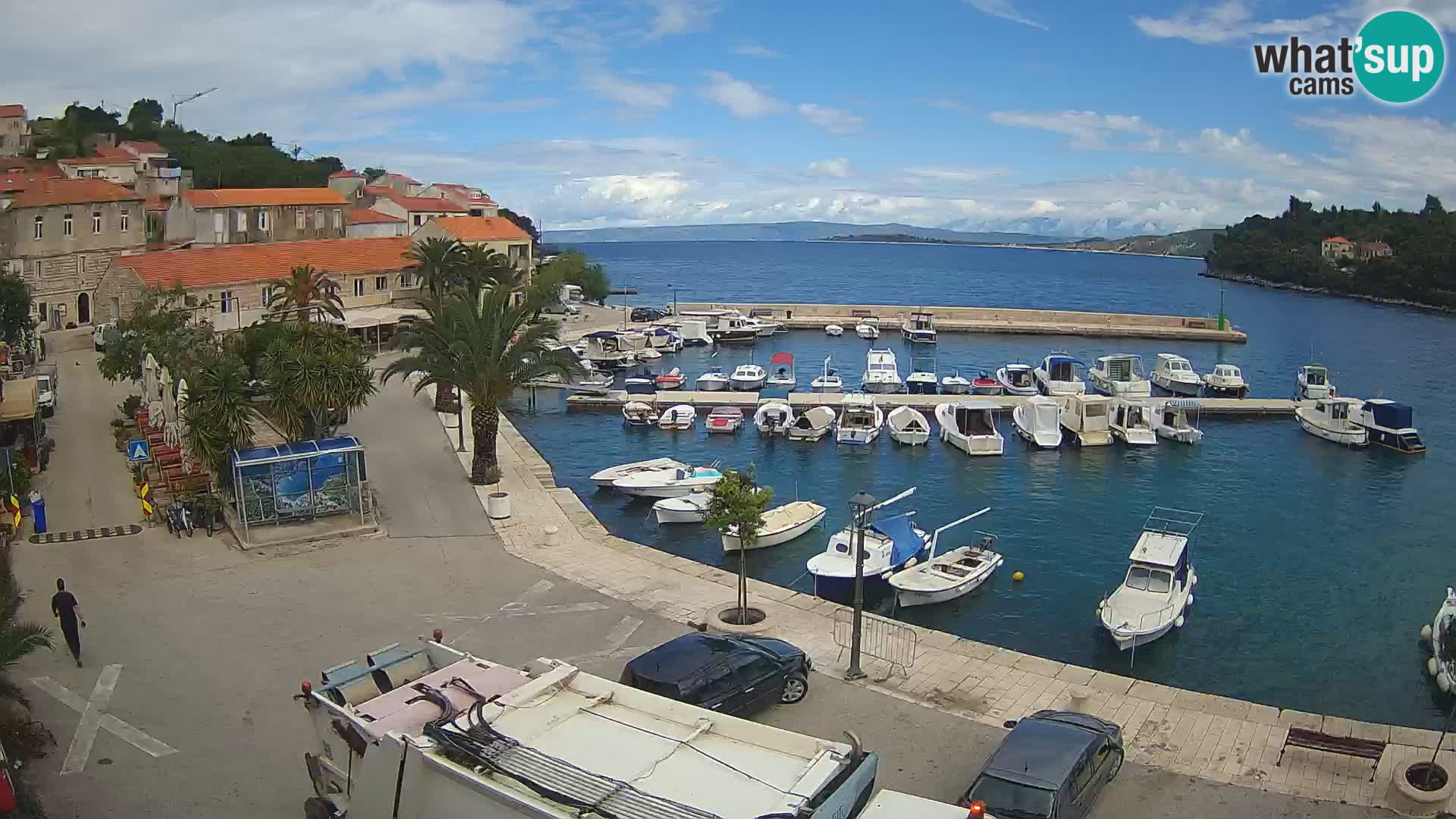 Račišće – otok Korčula