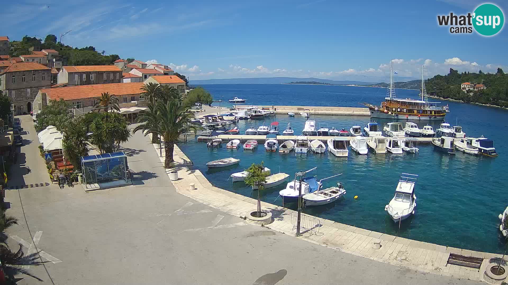 Račišće – otok Korčula