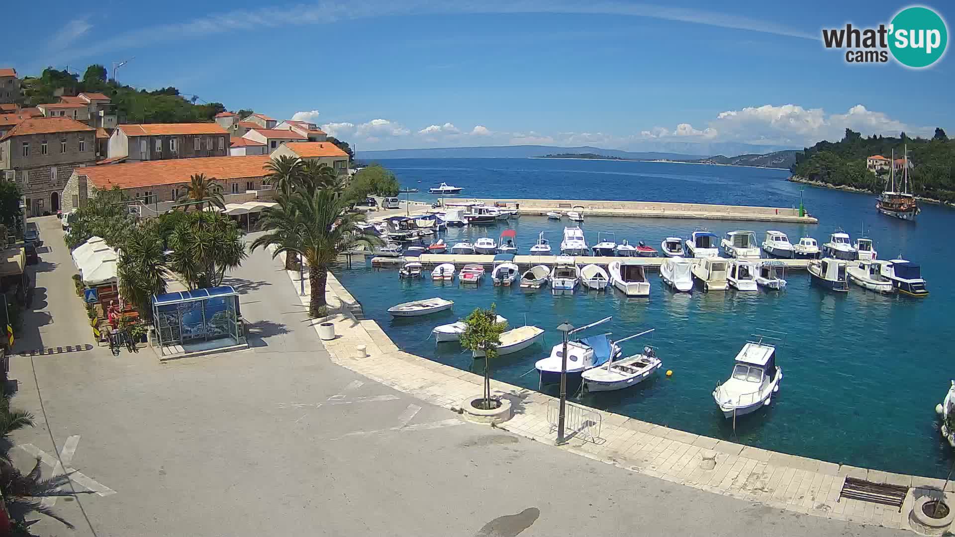 Račišće – otok Korčula