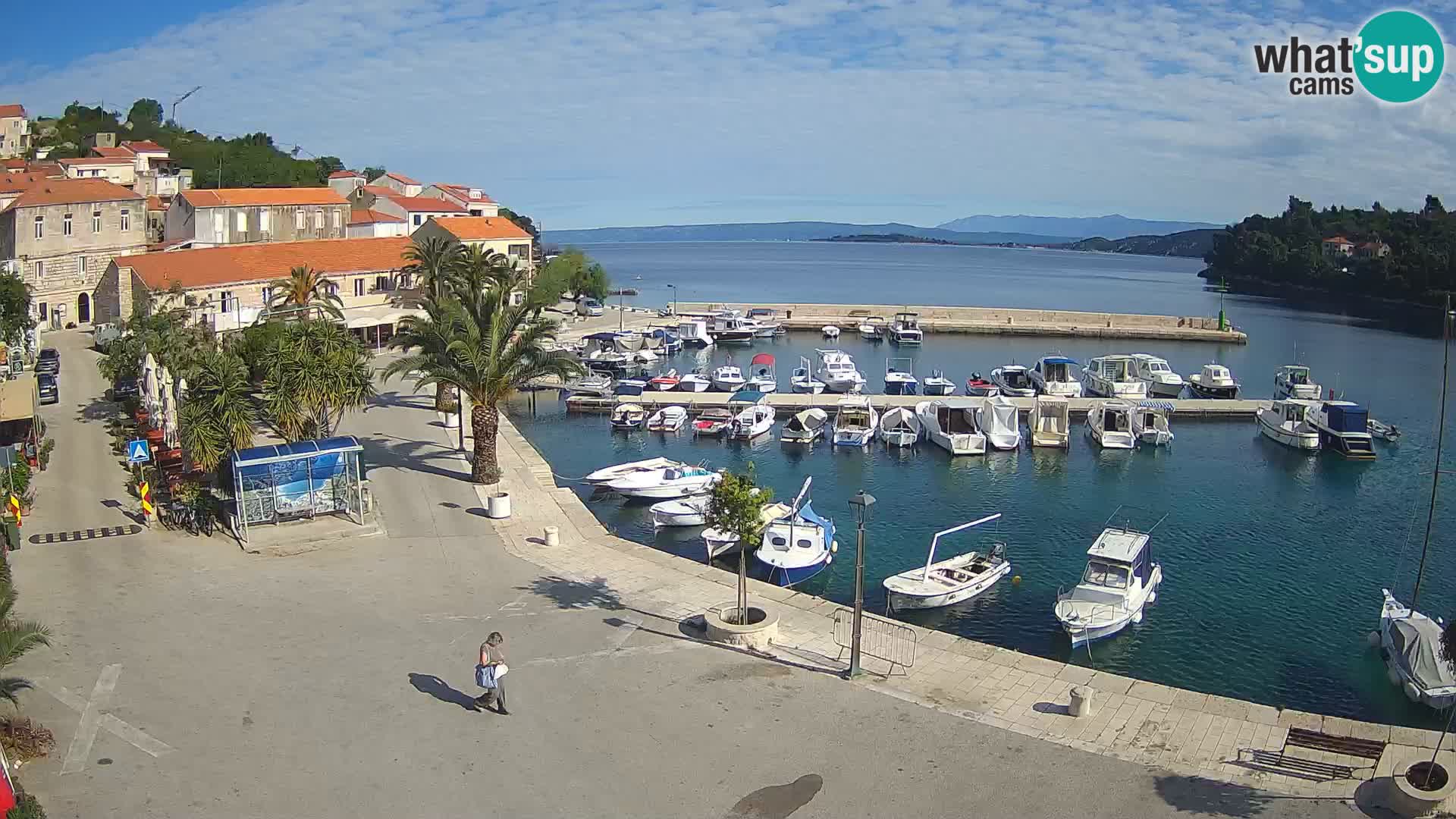 Račišće – isola di Curzola