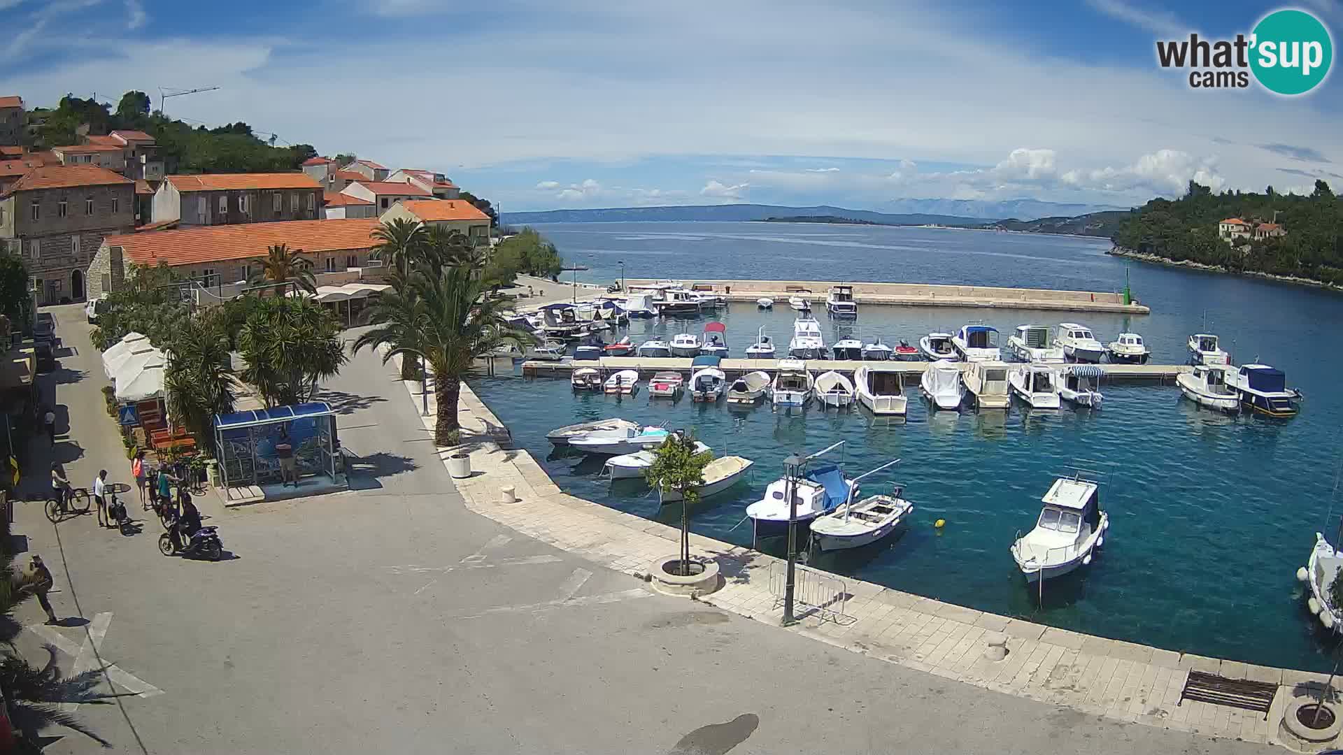 Račišće – otok Korčula