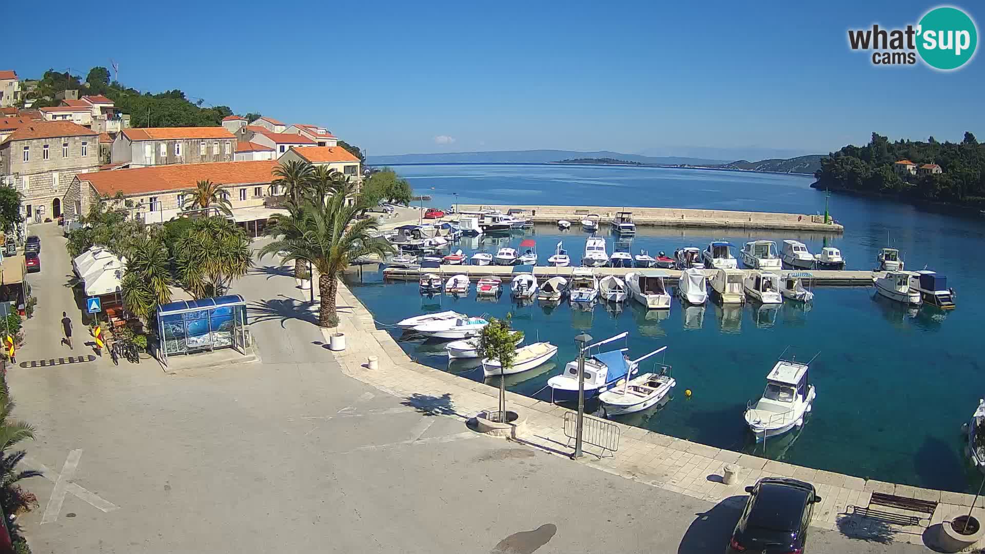 Račišće – isola di Curzola