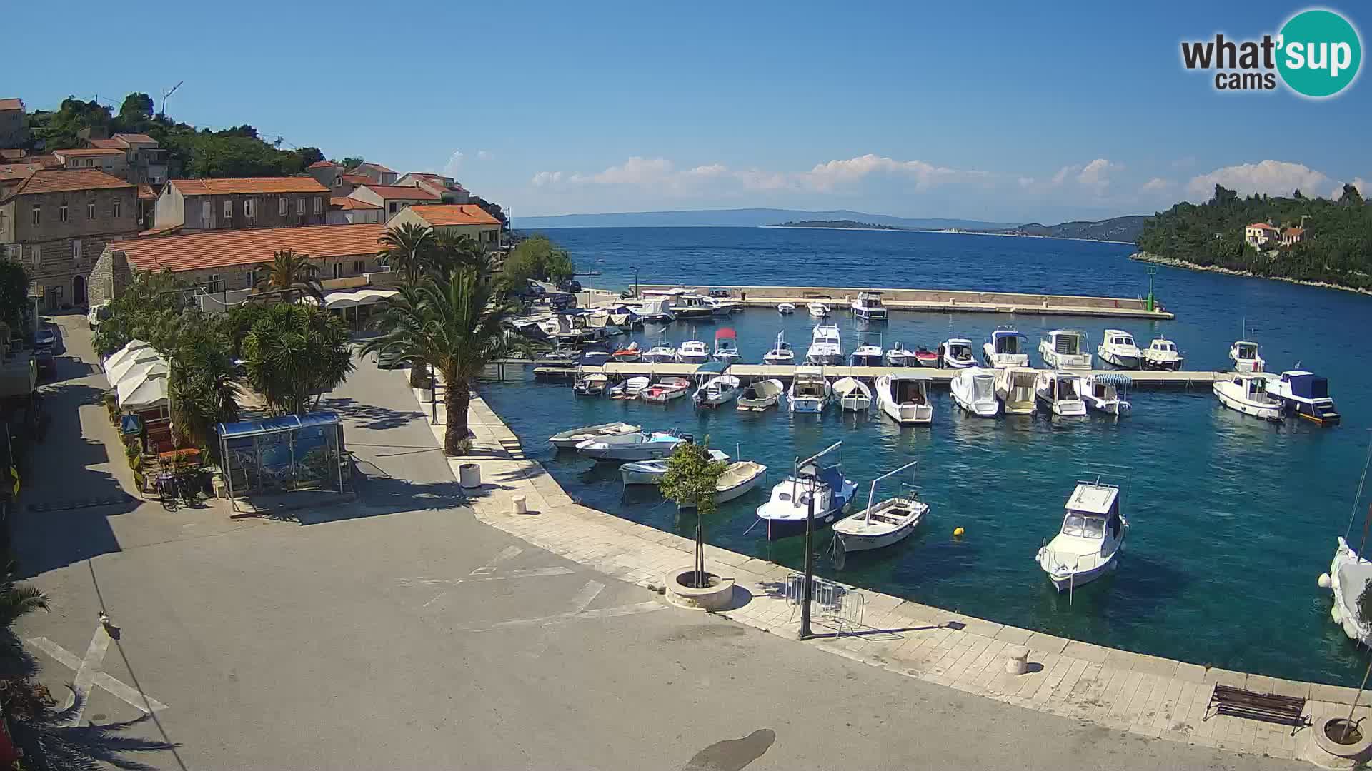 Račišće – Korčula isla