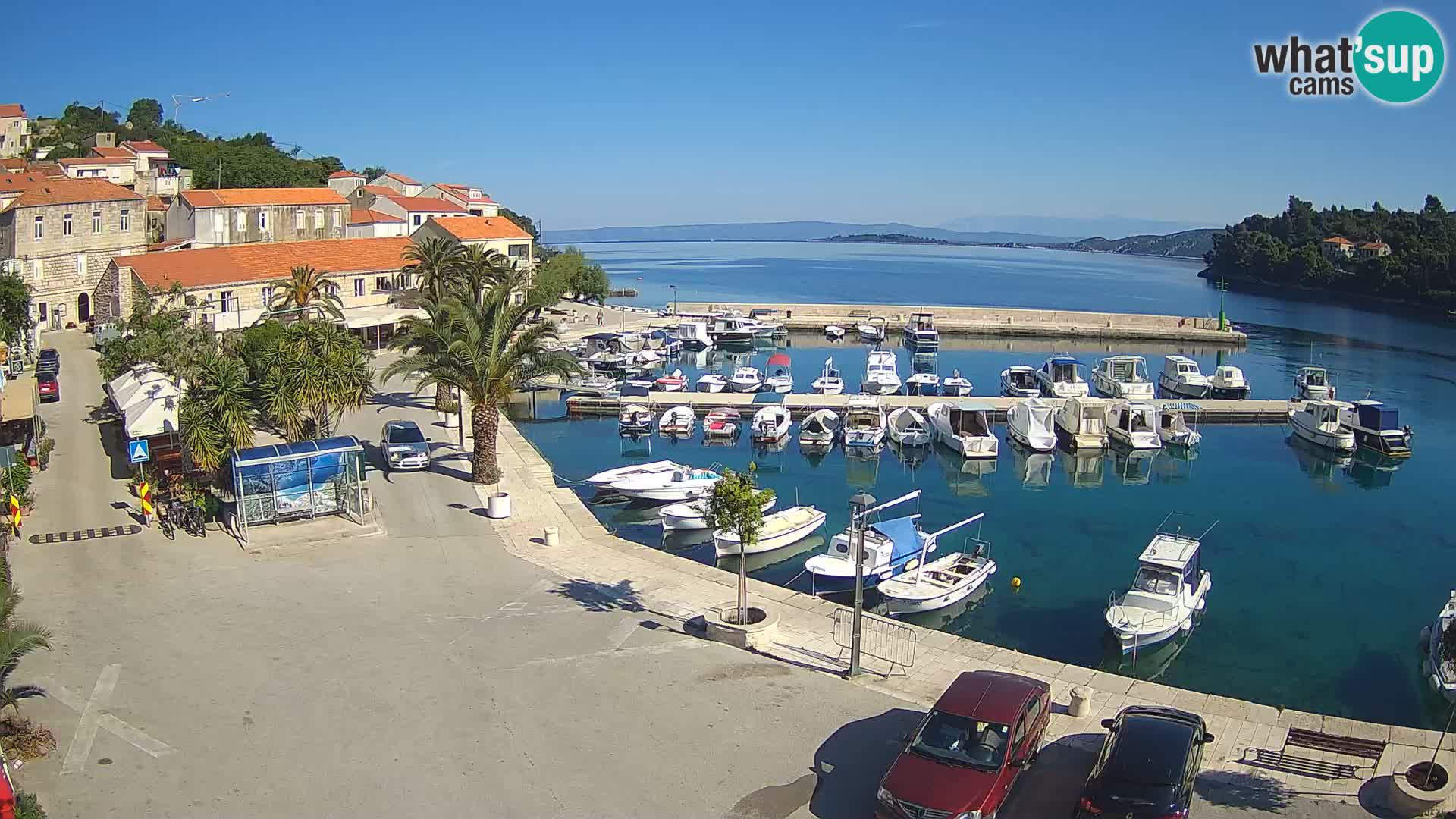 Račišće – isola di Curzola