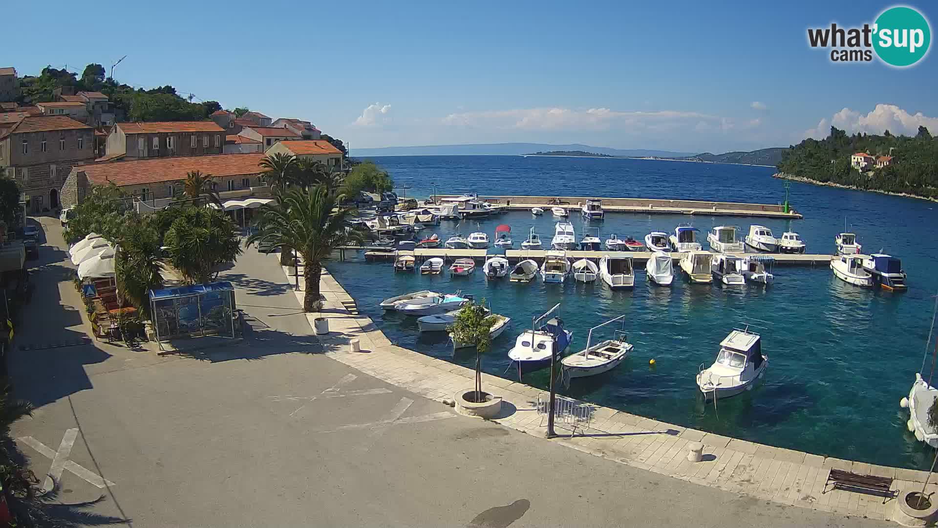 Račišće – isola di Curzola