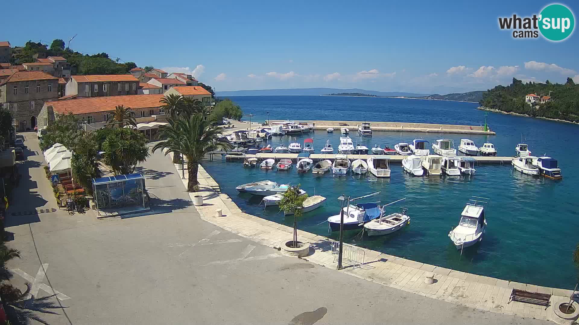 Račišće – Korčula île