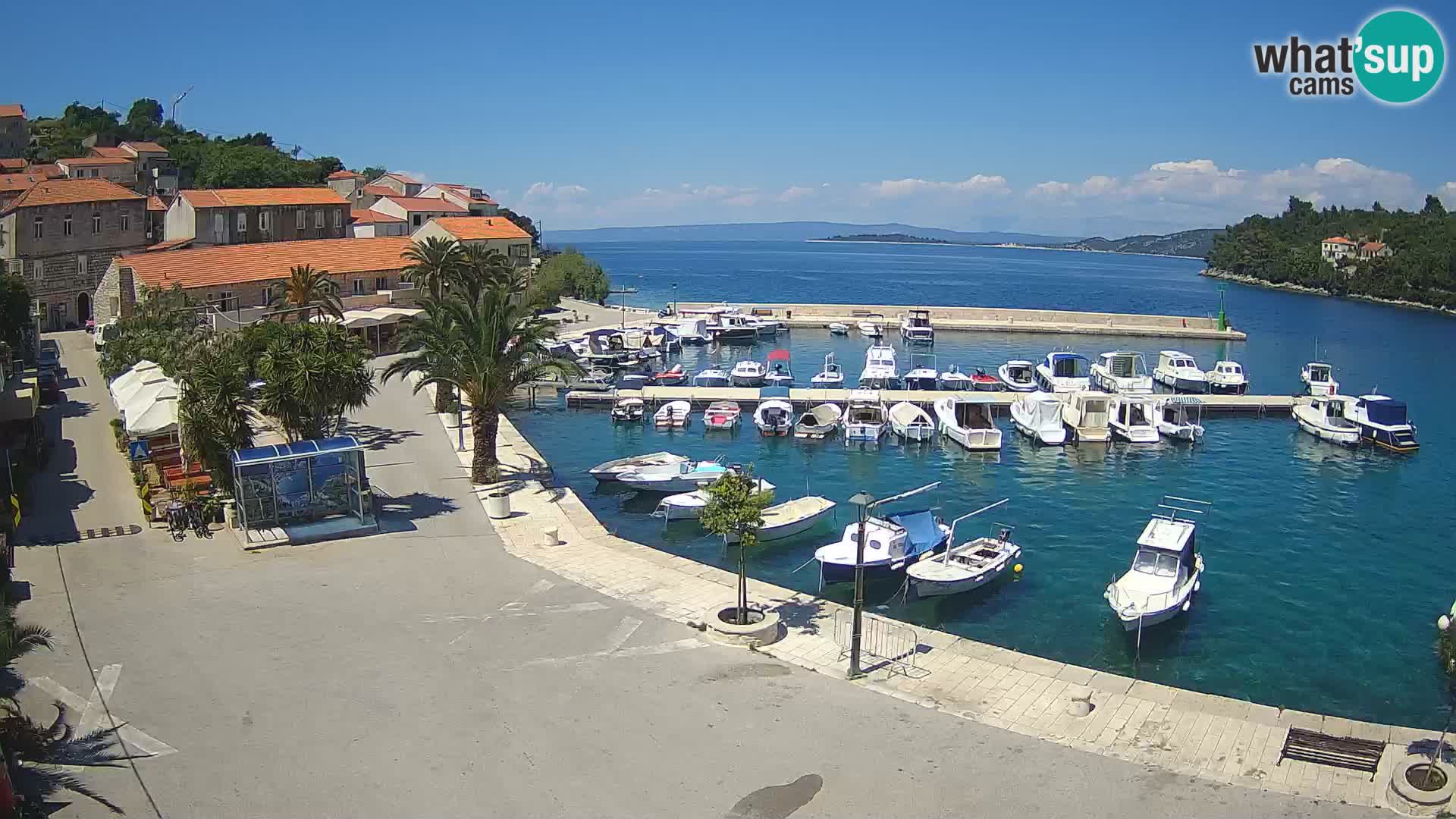 Račišće – Korčula isla