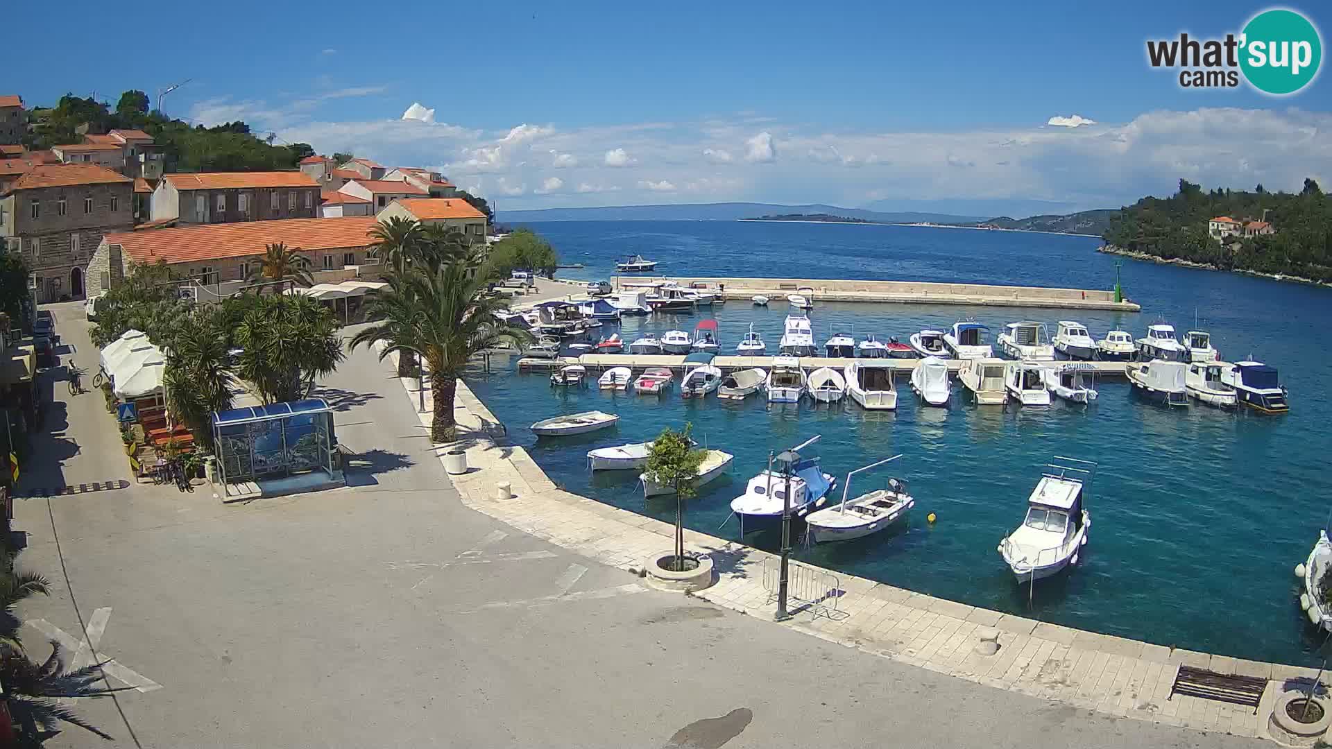 Račišće – otok Korčula