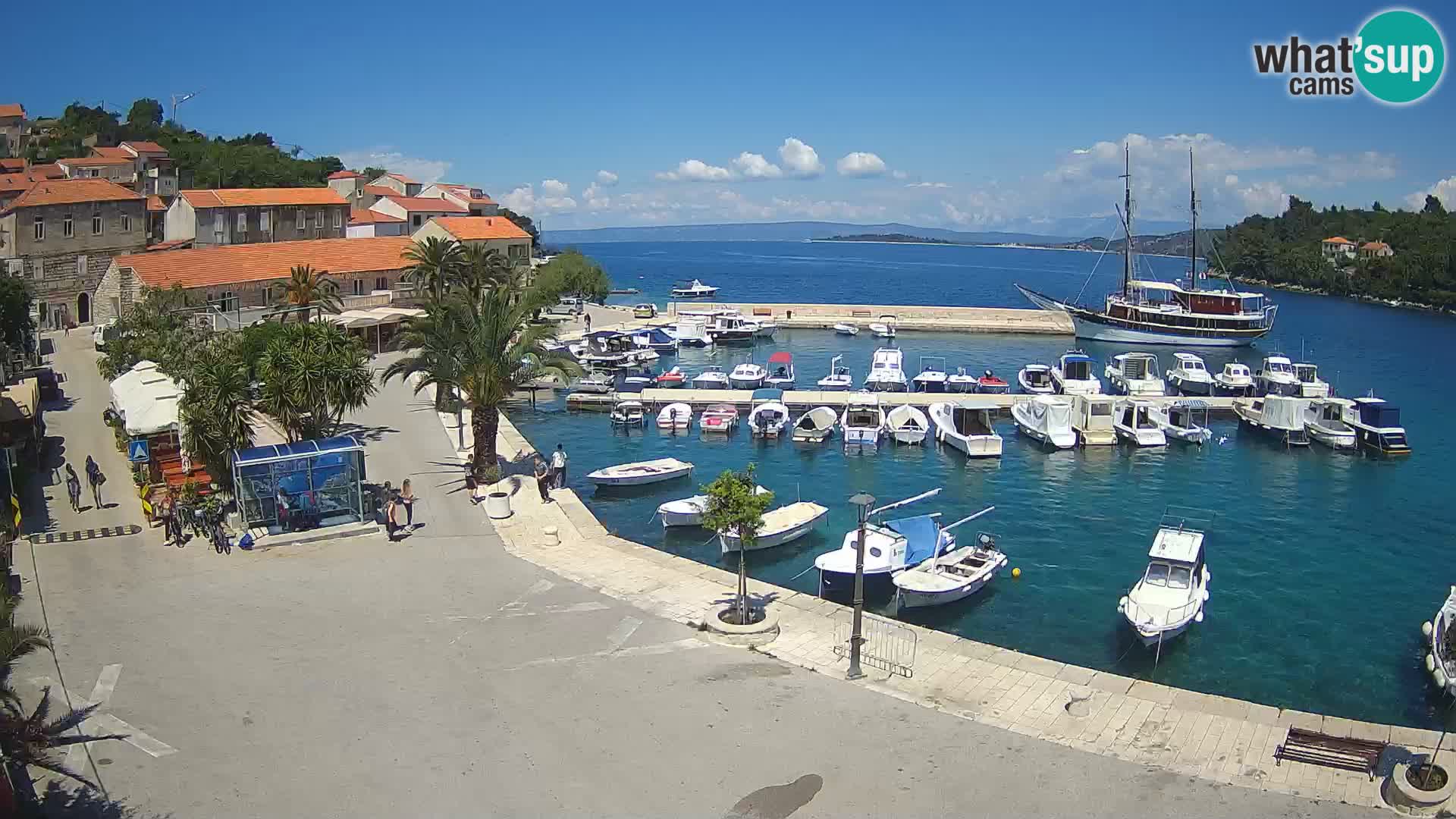 Račišće – otok Korčula