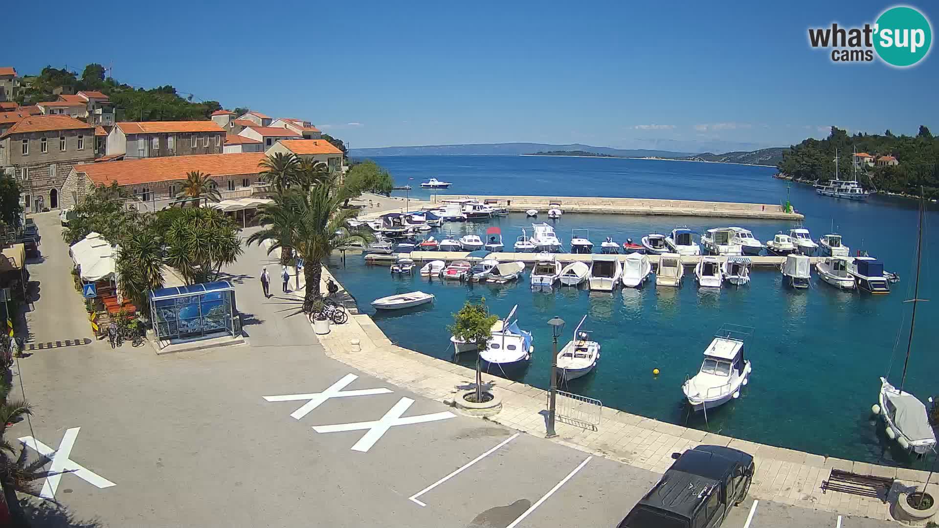 Račišće – otok Korčula