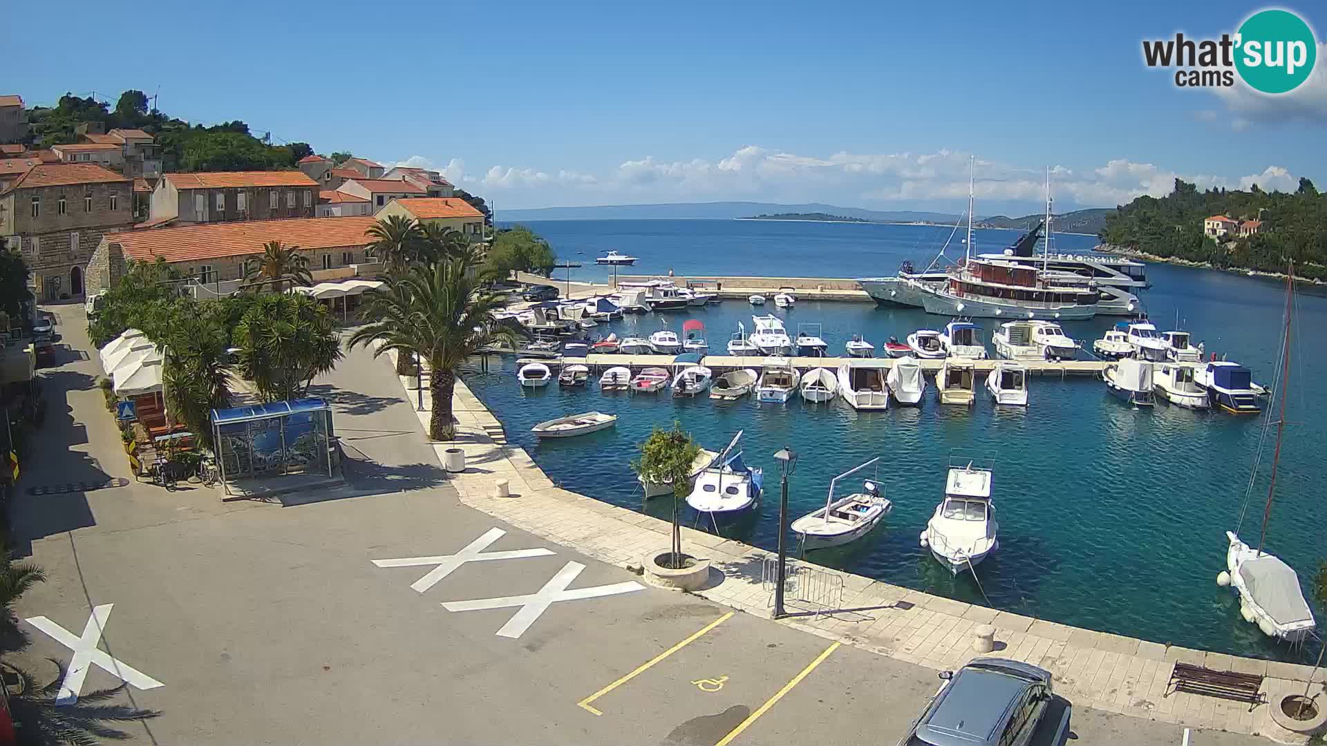 Račišće – isola di Curzola