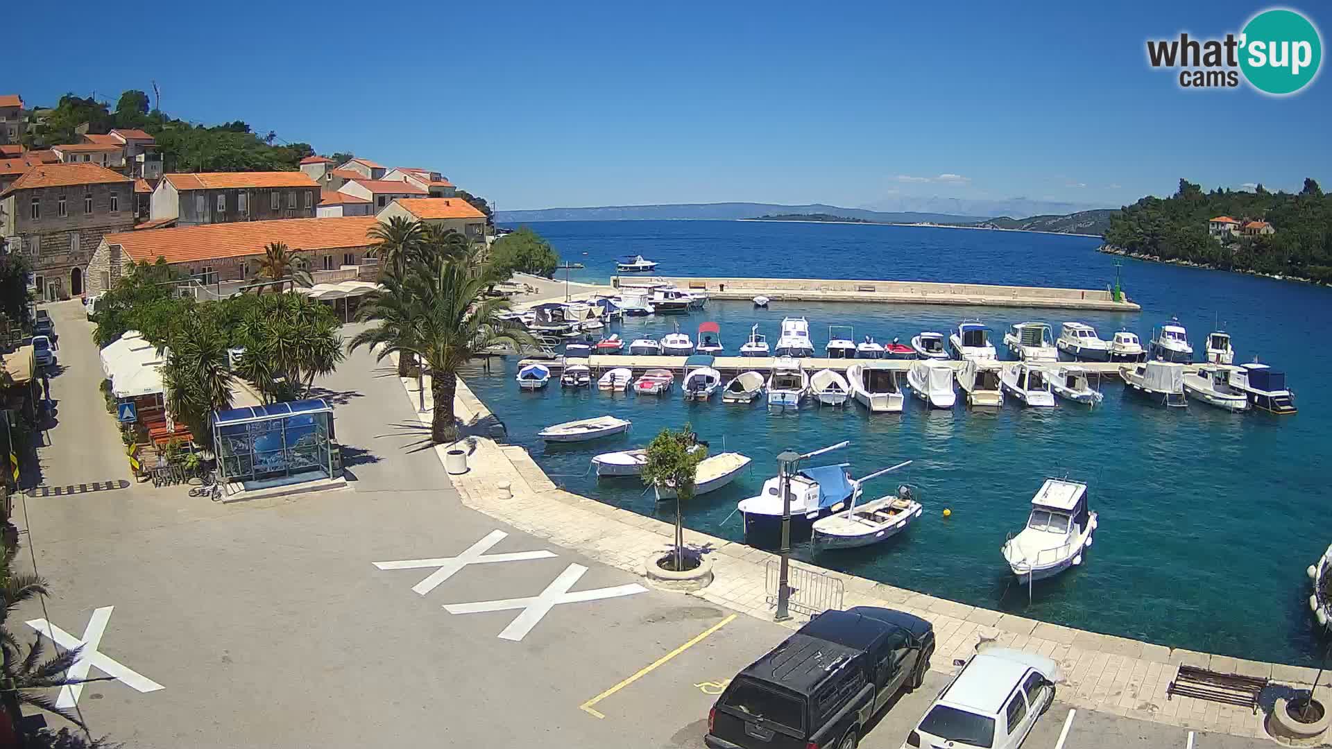 Račišće – isola di Curzola