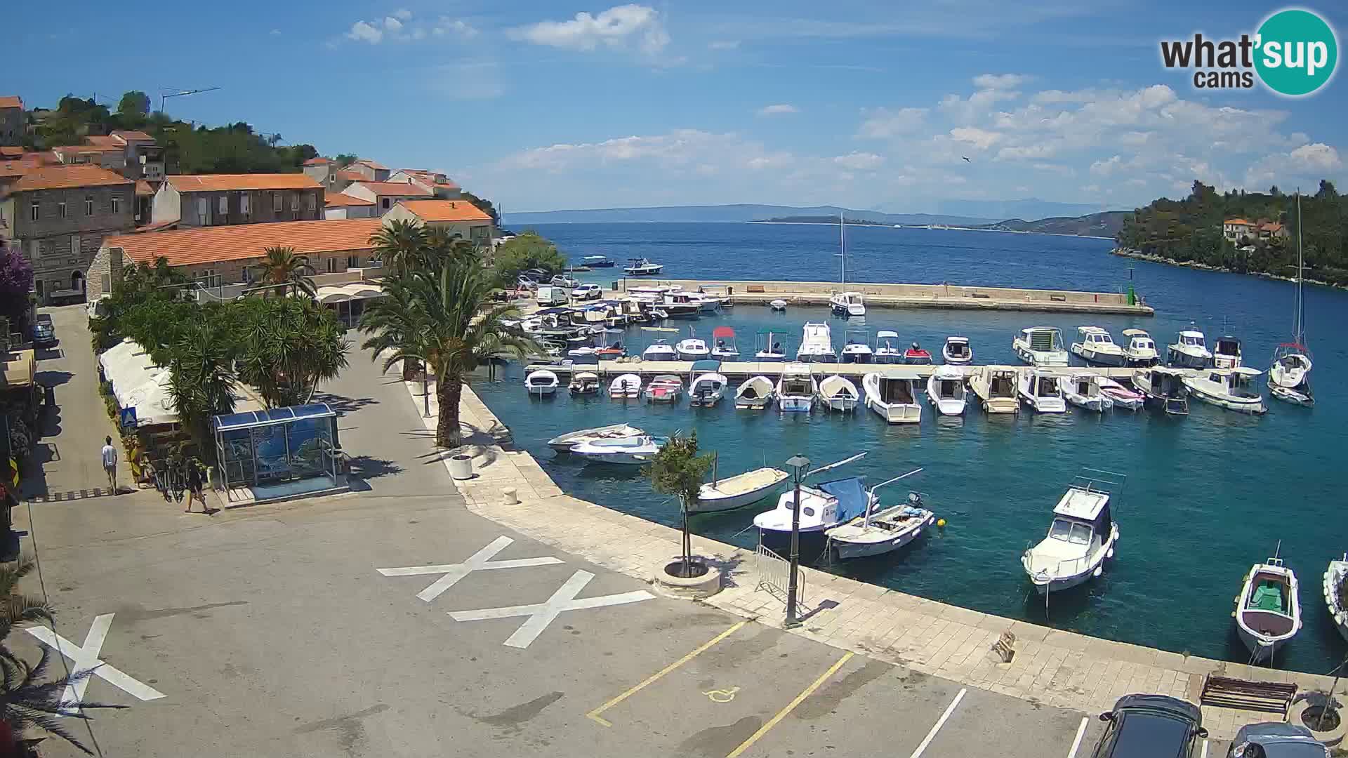 Račišće – otok Korčula