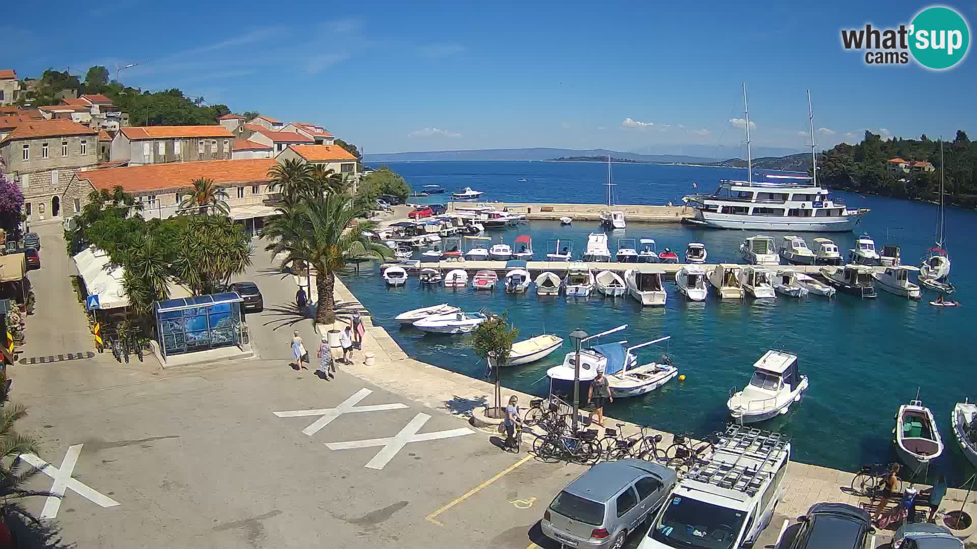 Račišće – isola di Curzola