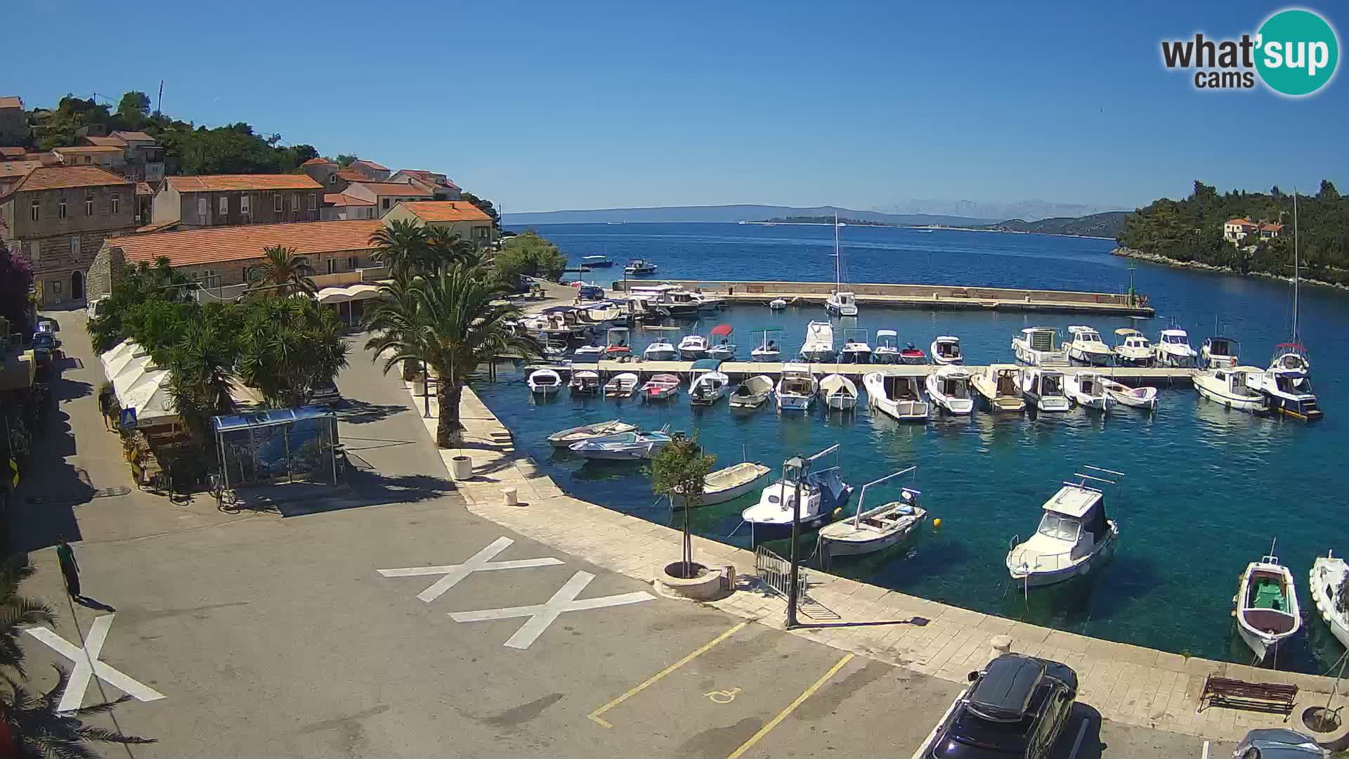 Račišće – Korčula isla