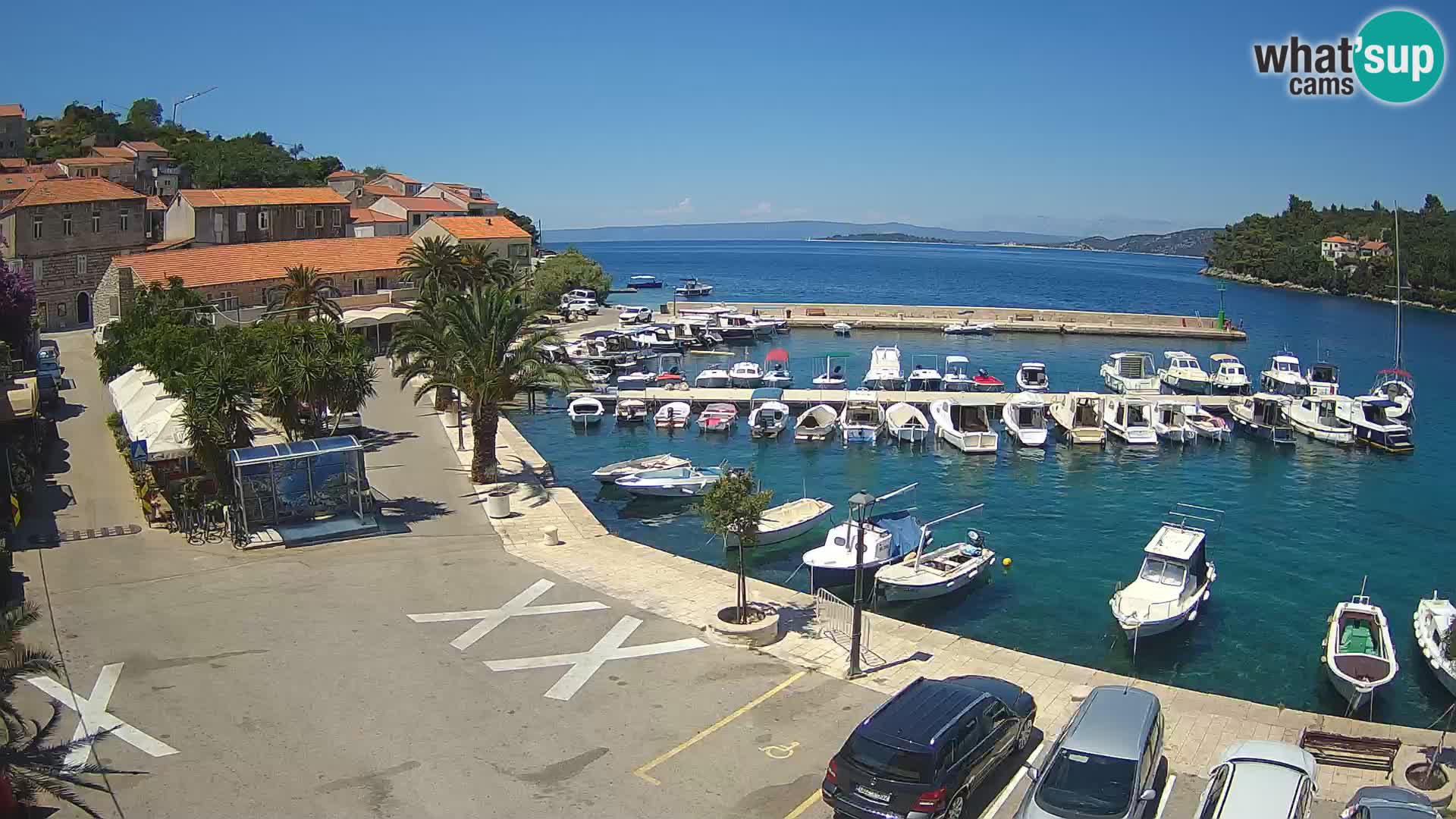 Račišće – isola di Curzola