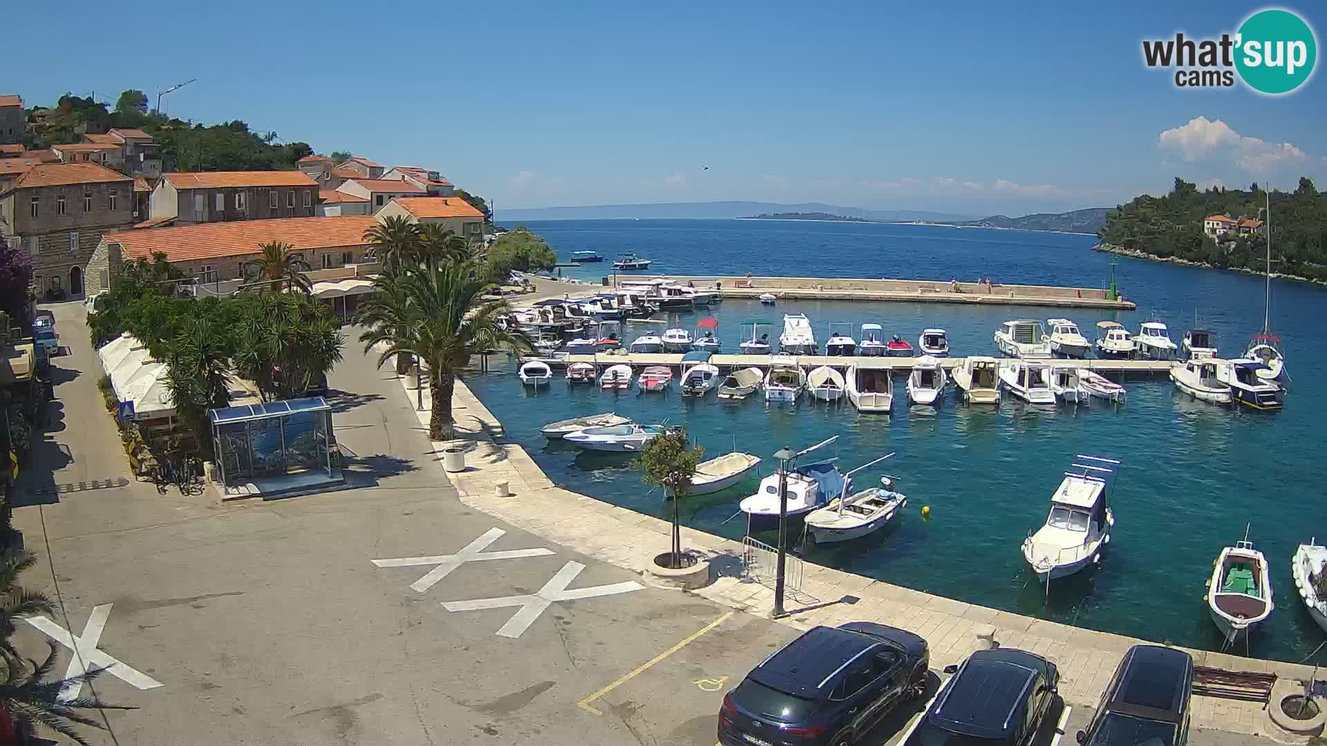 Račišće – otok Korčula