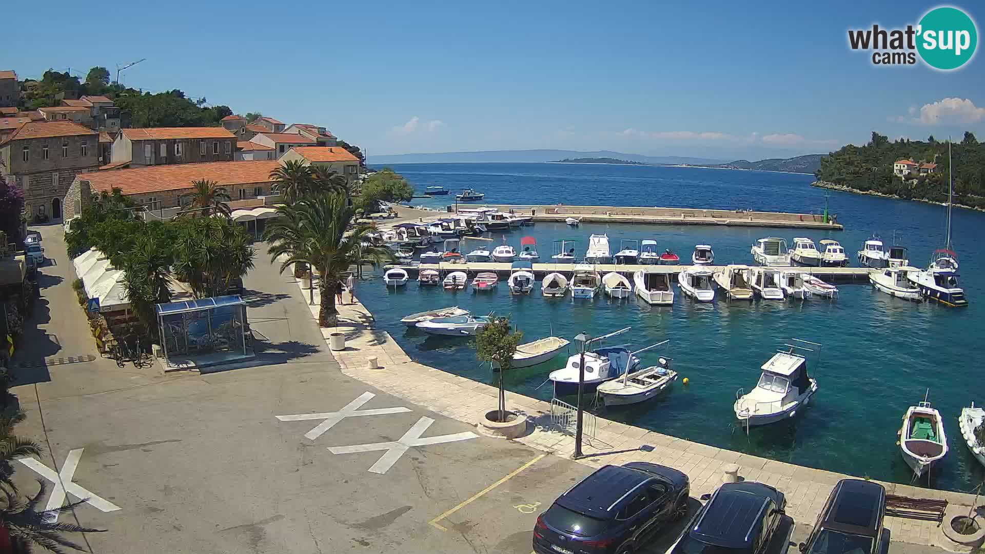 Račišće – otok Korčula
