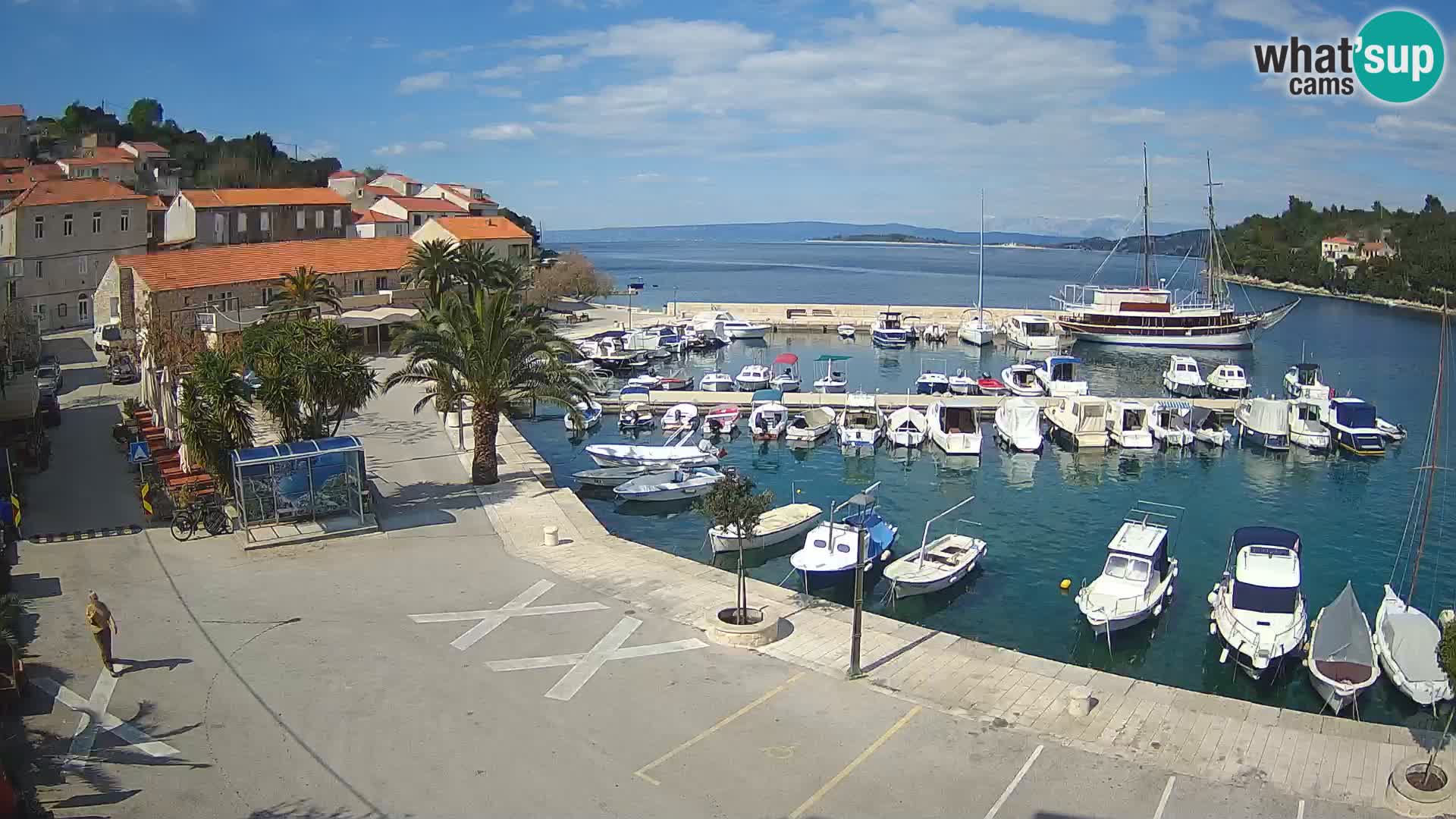 Račišće – isola di Curzola