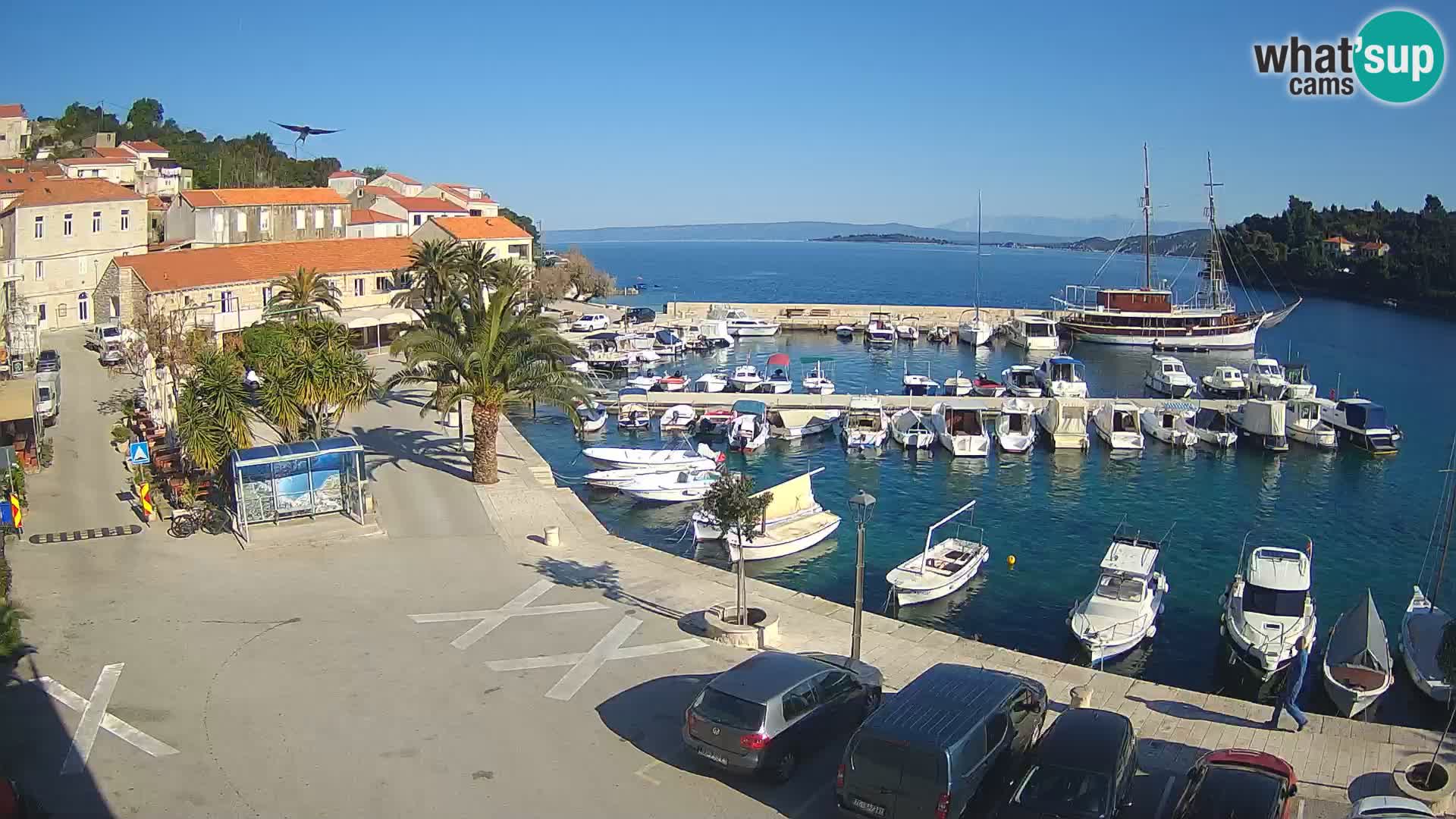 Račišće – Korčula Insel