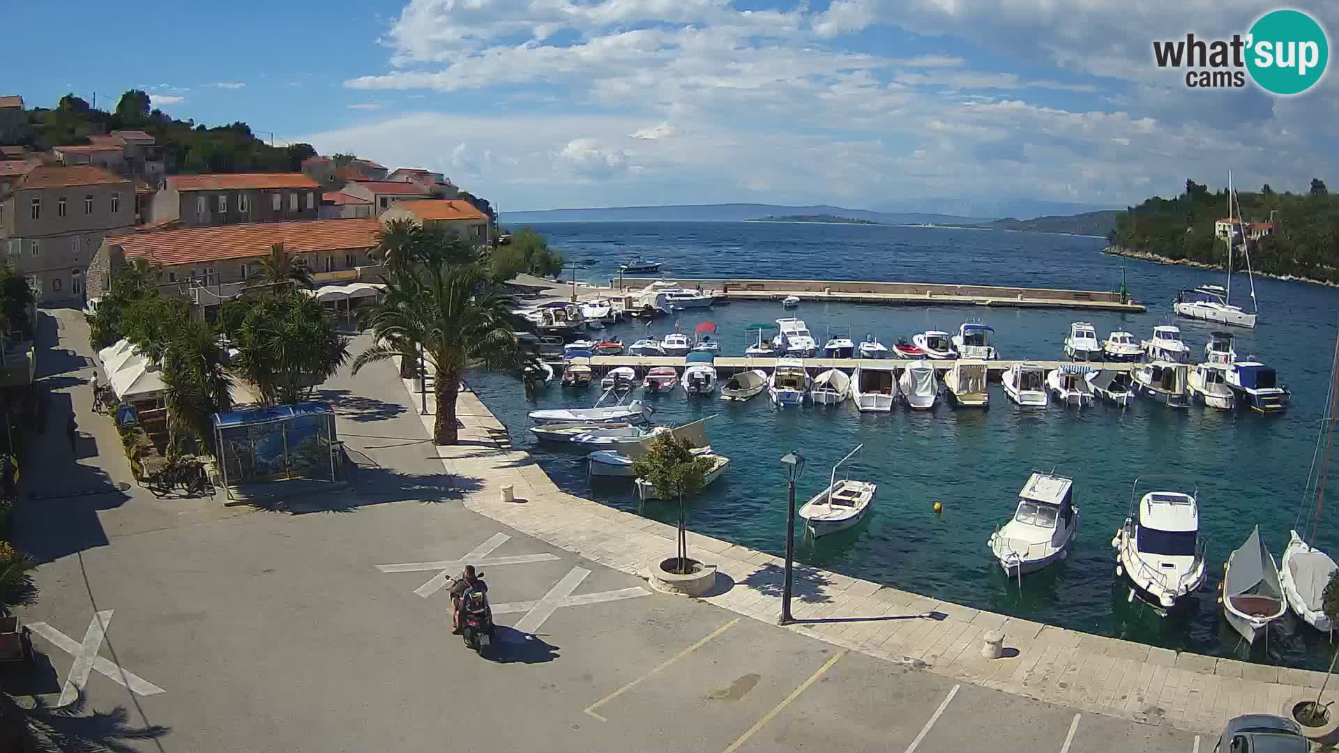 Račišće – isola di Curzola