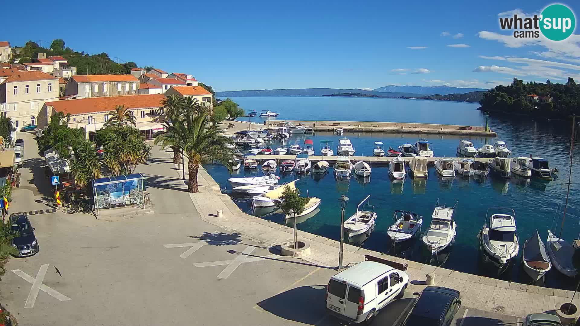 Račišće – isola di Curzola