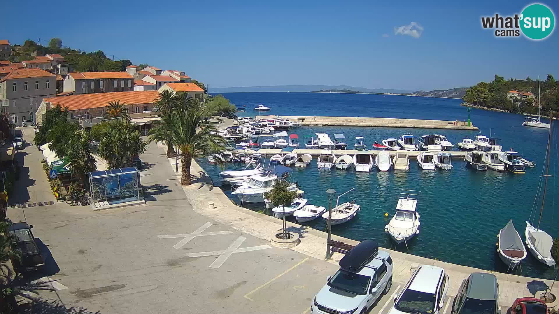 Račišće – isola di Curzola
