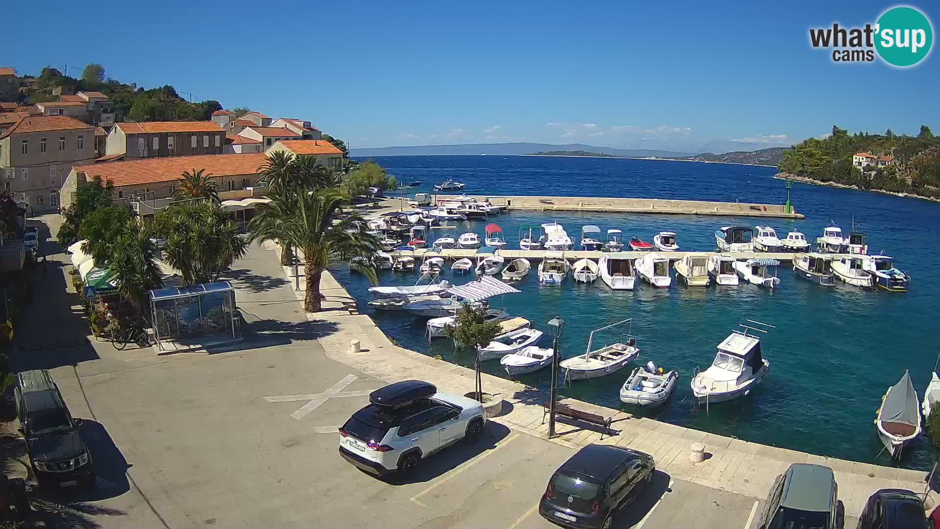 Račišće – isola di Curzola