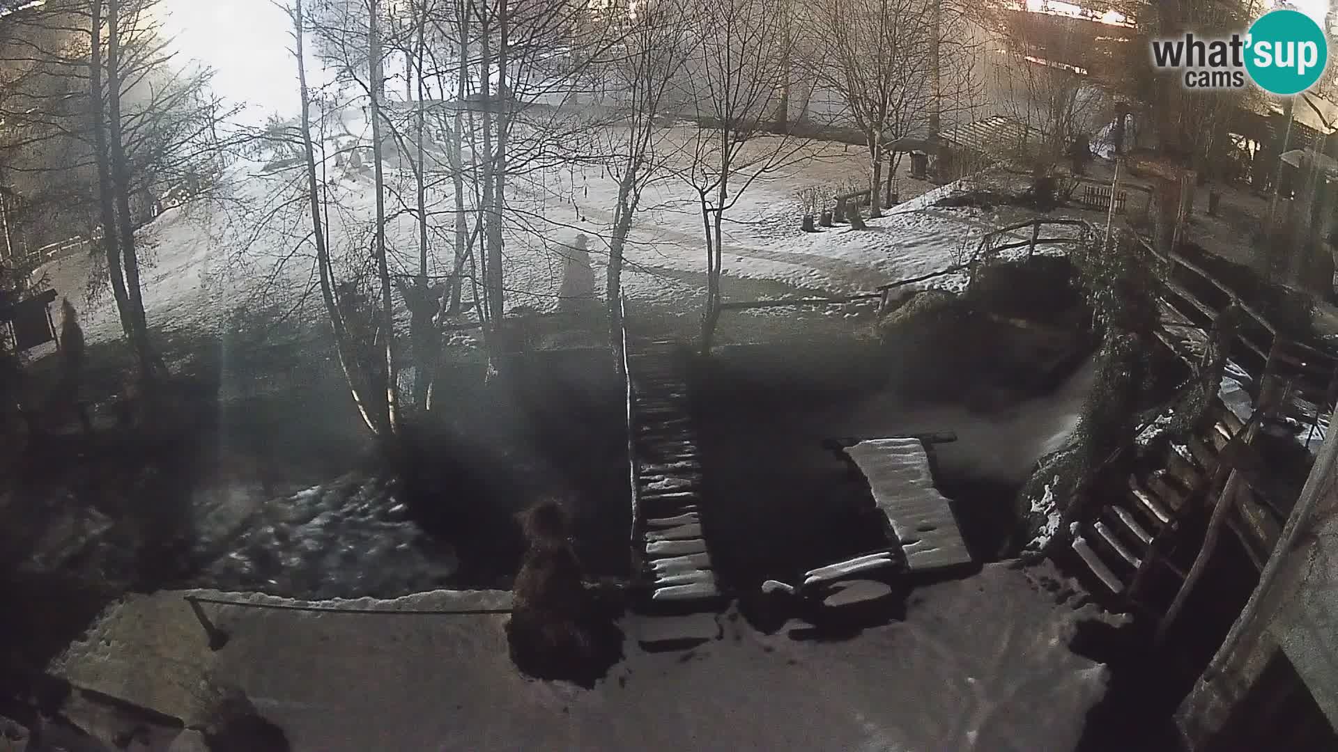 Lacs sur la rivière Slunjčica dans Rastoke