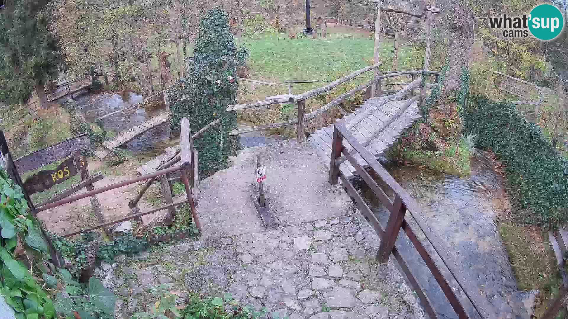 Seen auf dem Fluss Slunjčica in Rastoke