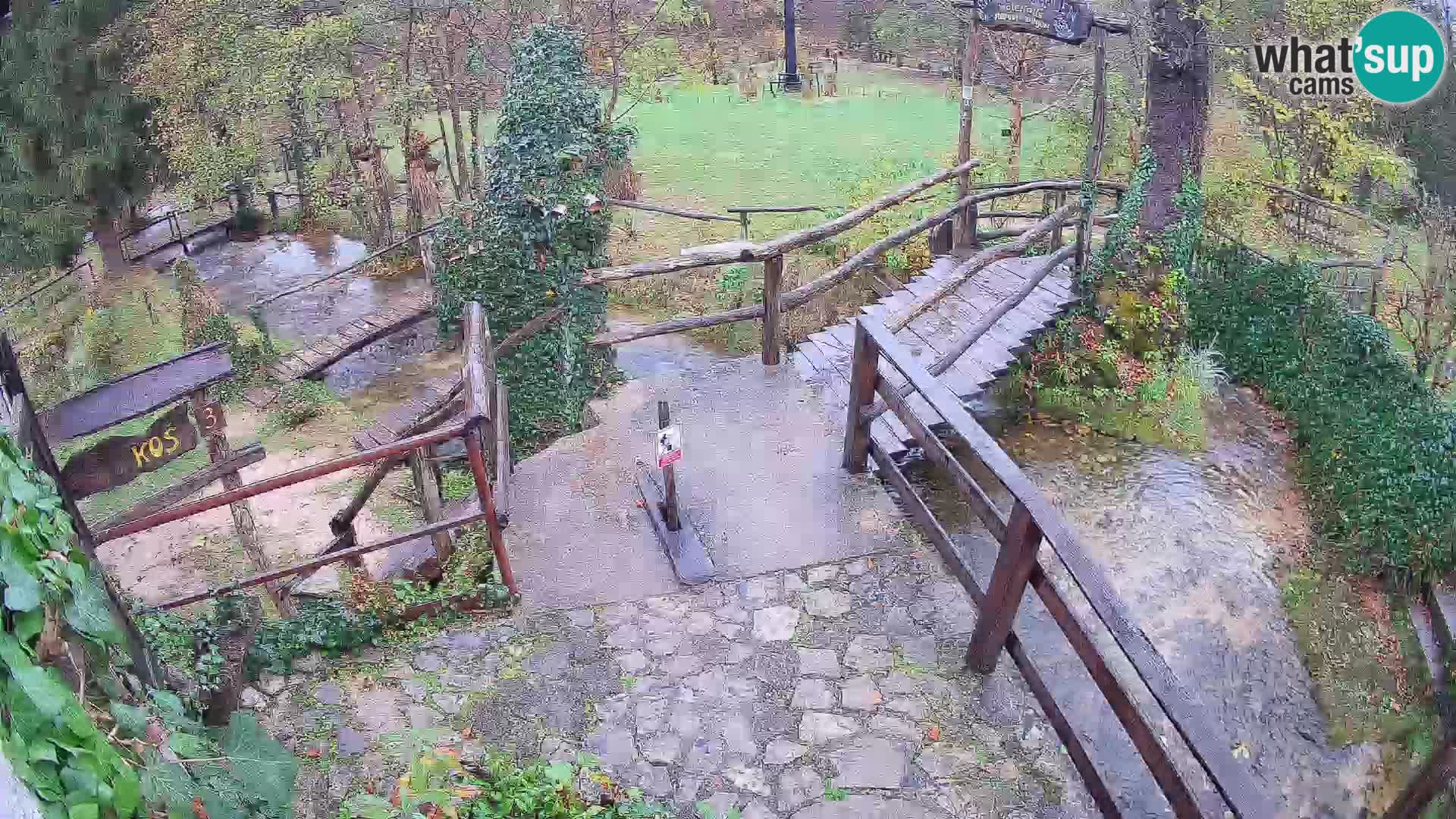 Lakes on the river Slunjčica in Rastoke