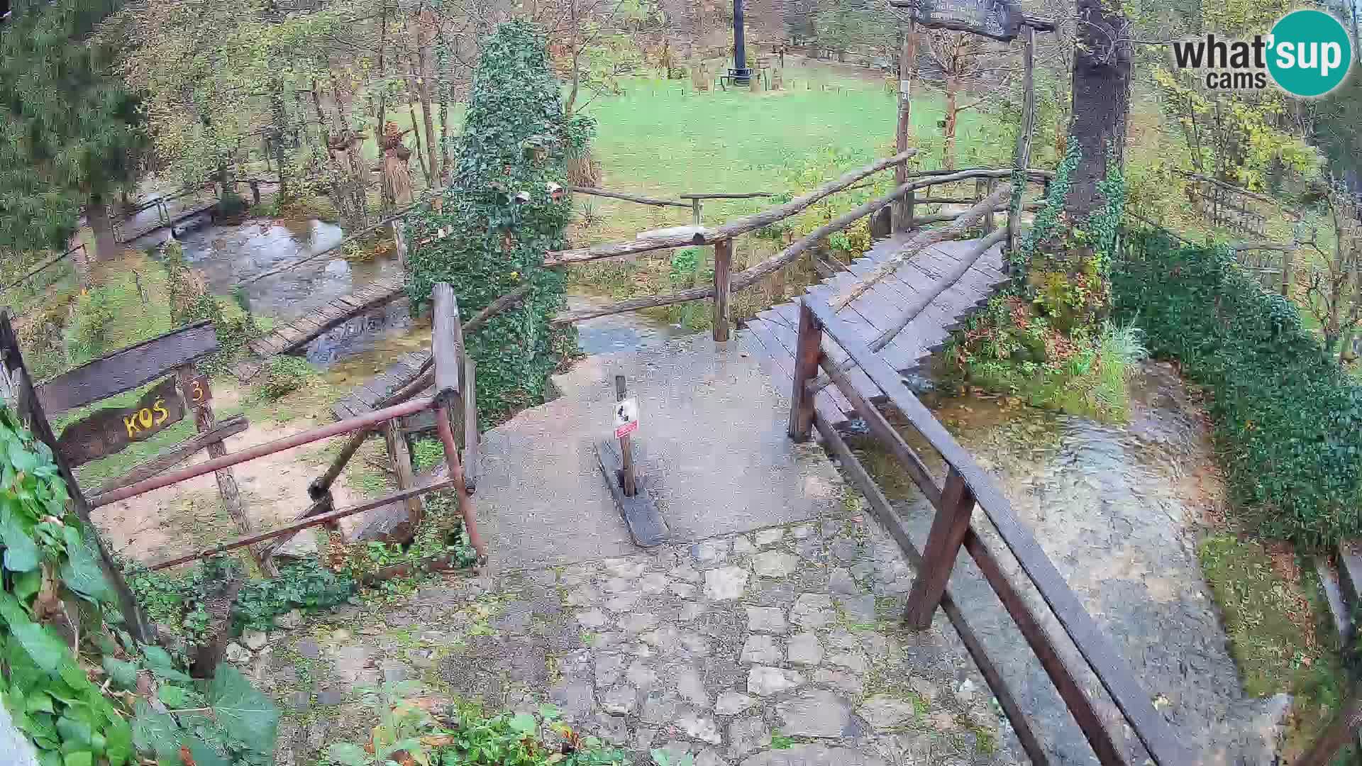 Lakes on the river Slunjčica in Rastoke