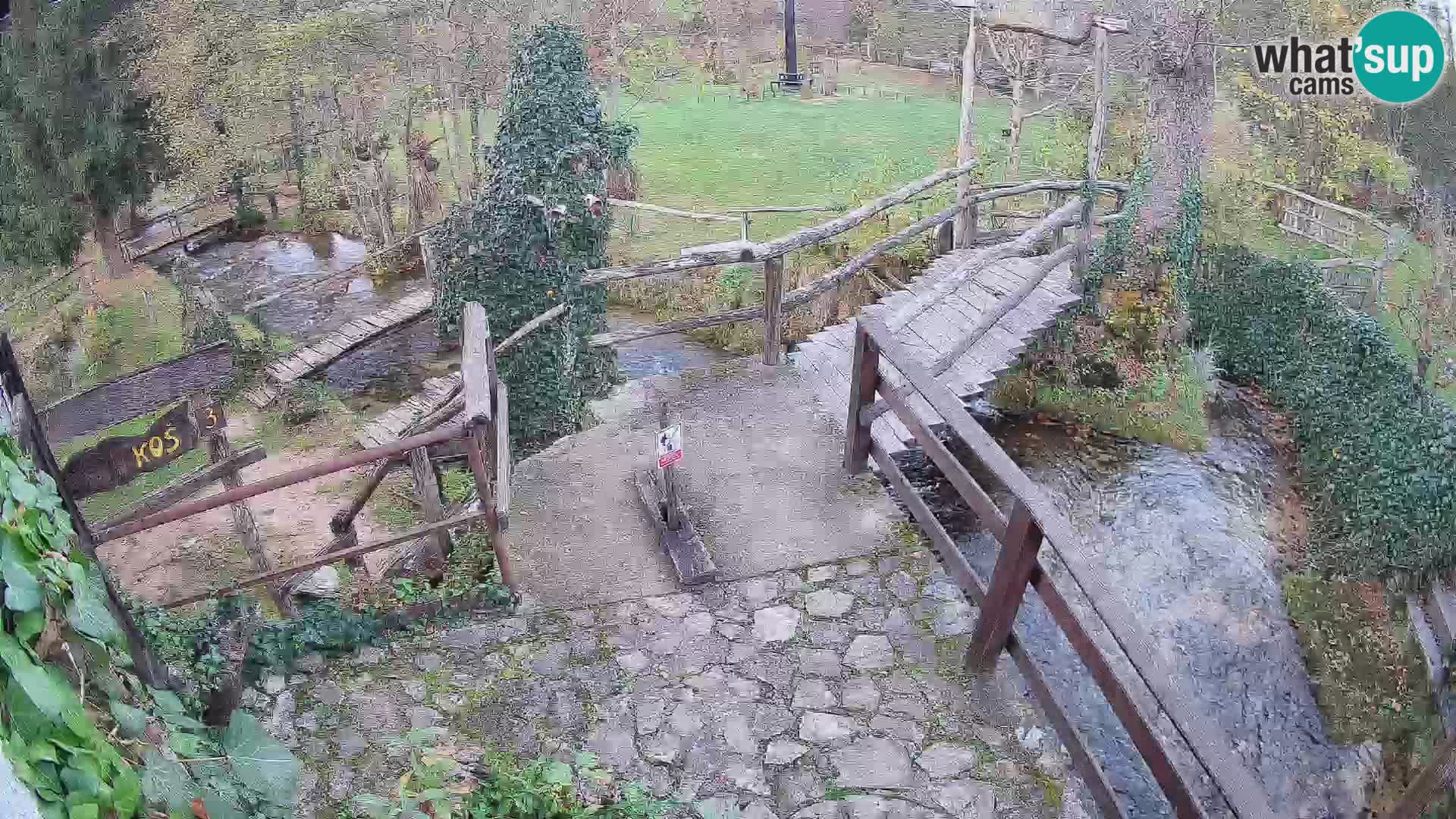 Seen auf dem Fluss Slunjčica in Rastoke
