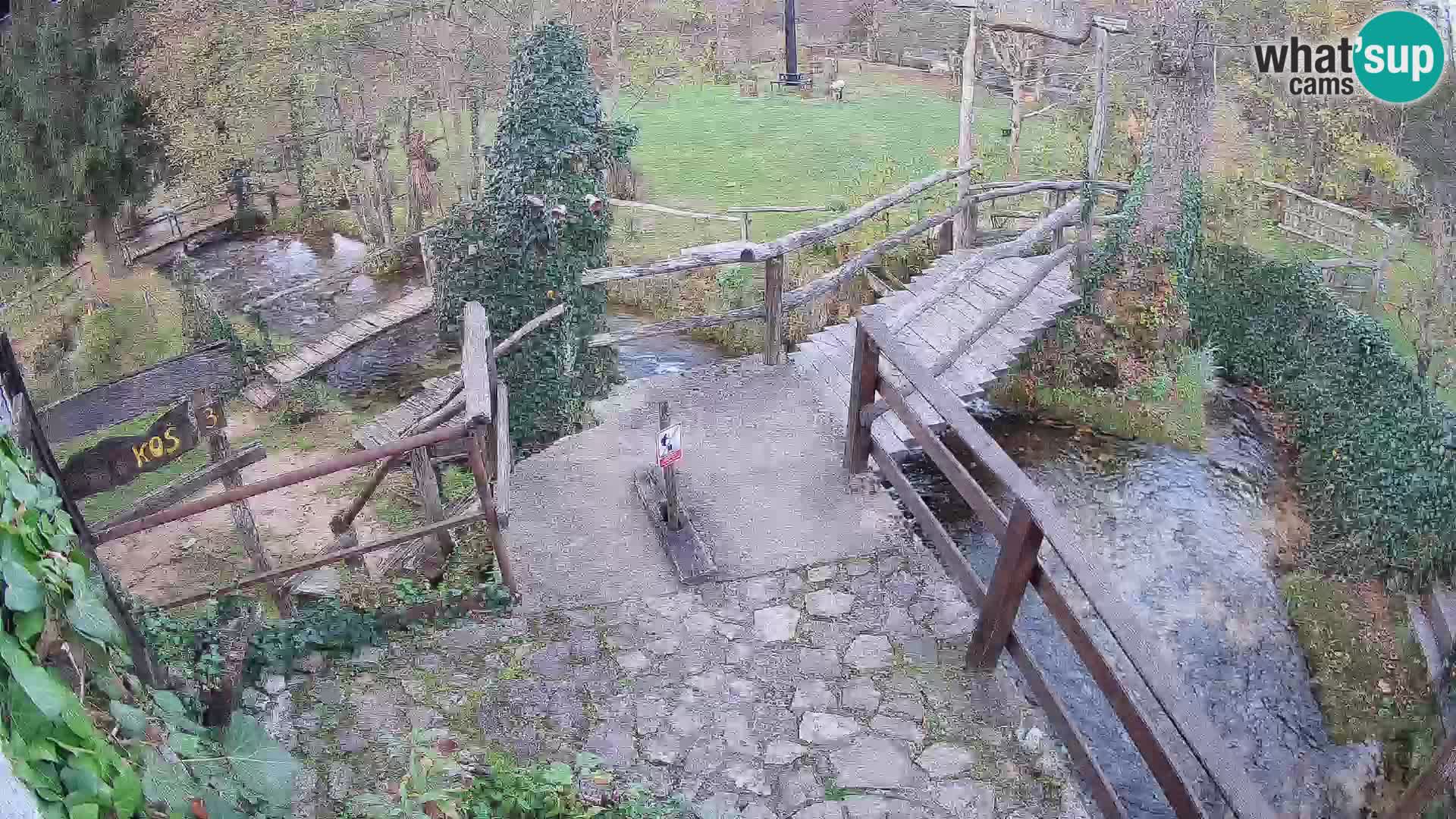 Seen auf dem Fluss Slunjčica in Rastoke